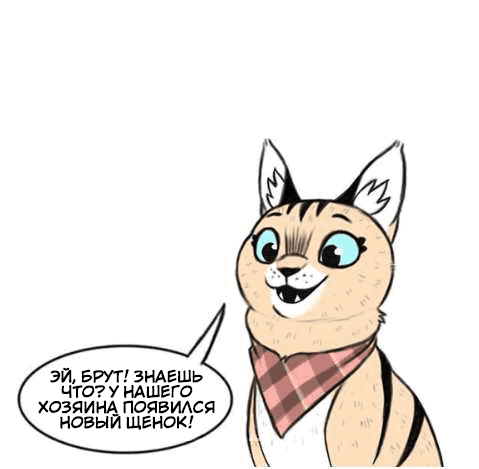 Манга Брут и Пикси - Глава 72.1 Страница 1