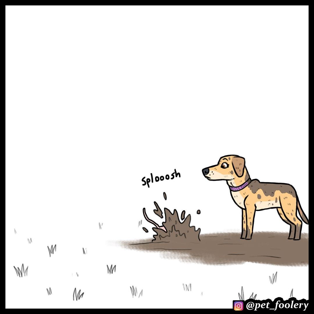 Манга Брут и Пикси - Глава 74 Страница 7