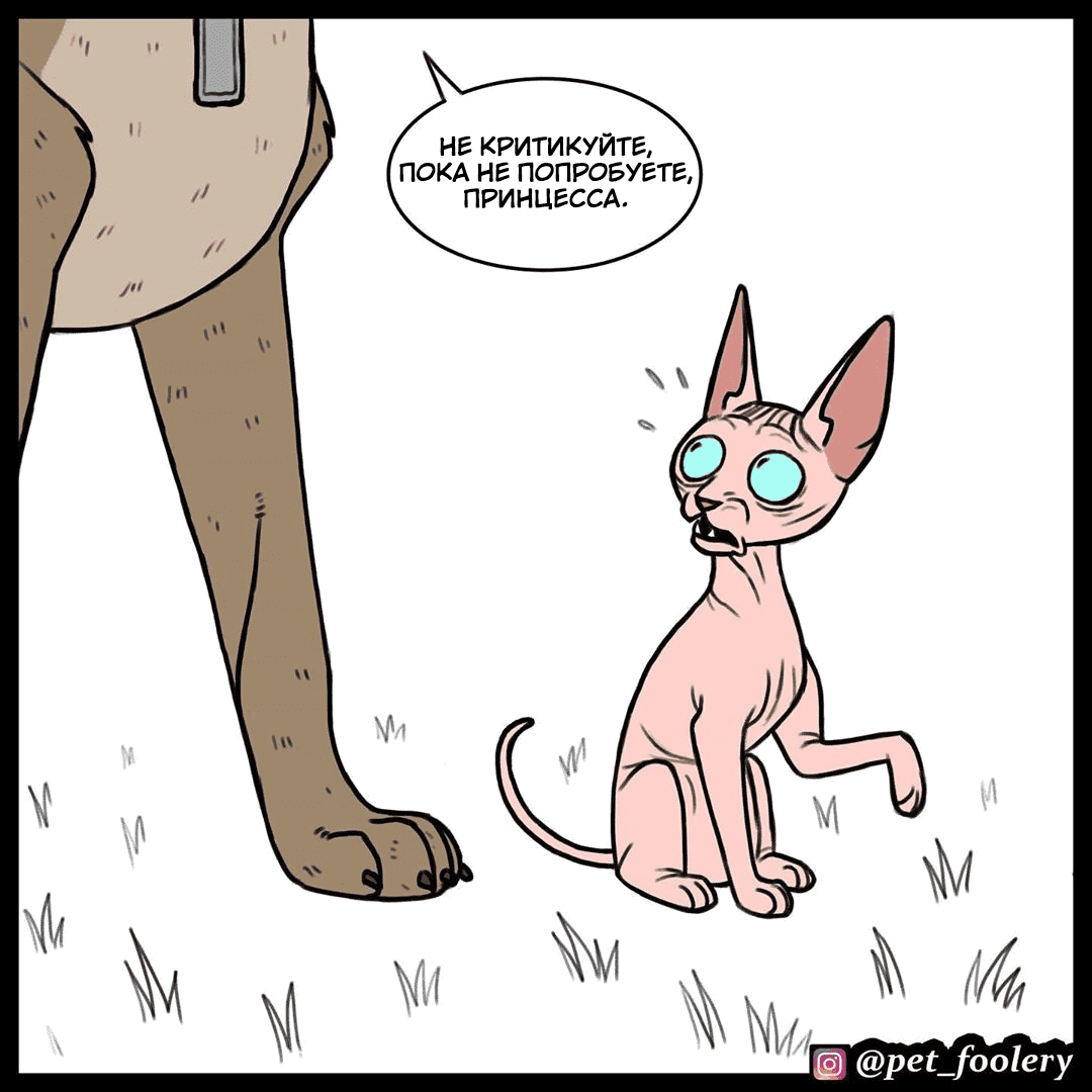 Манга Брут и Пикси - Глава 74 Страница 5