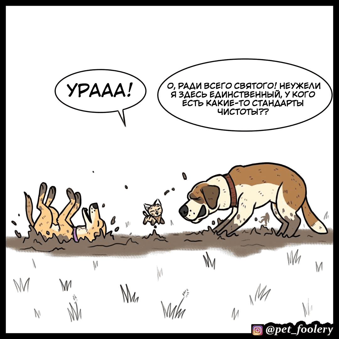 Манга Брут и Пикси - Глава 74 Страница 4