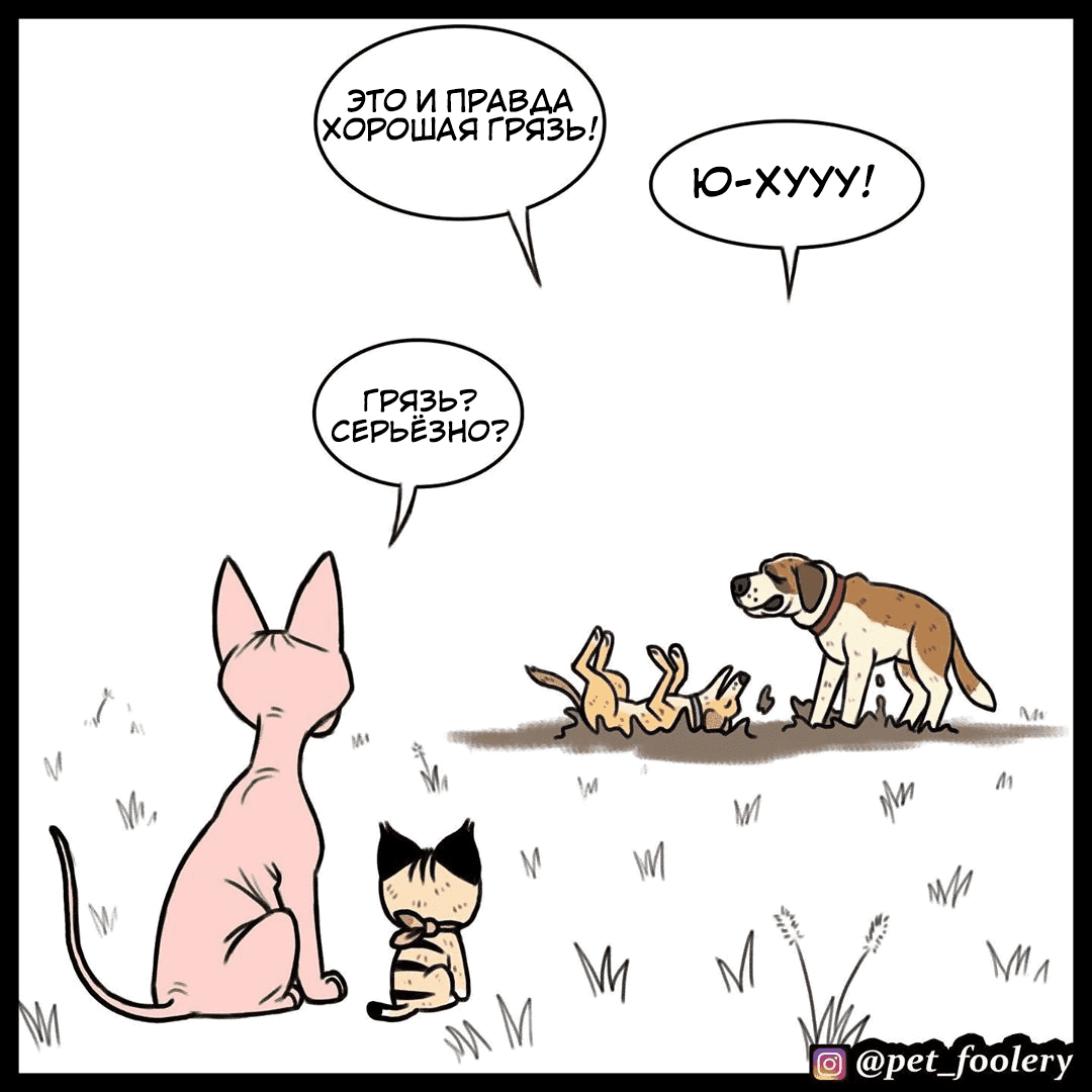 Манга Брут и Пикси - Глава 74 Страница 1