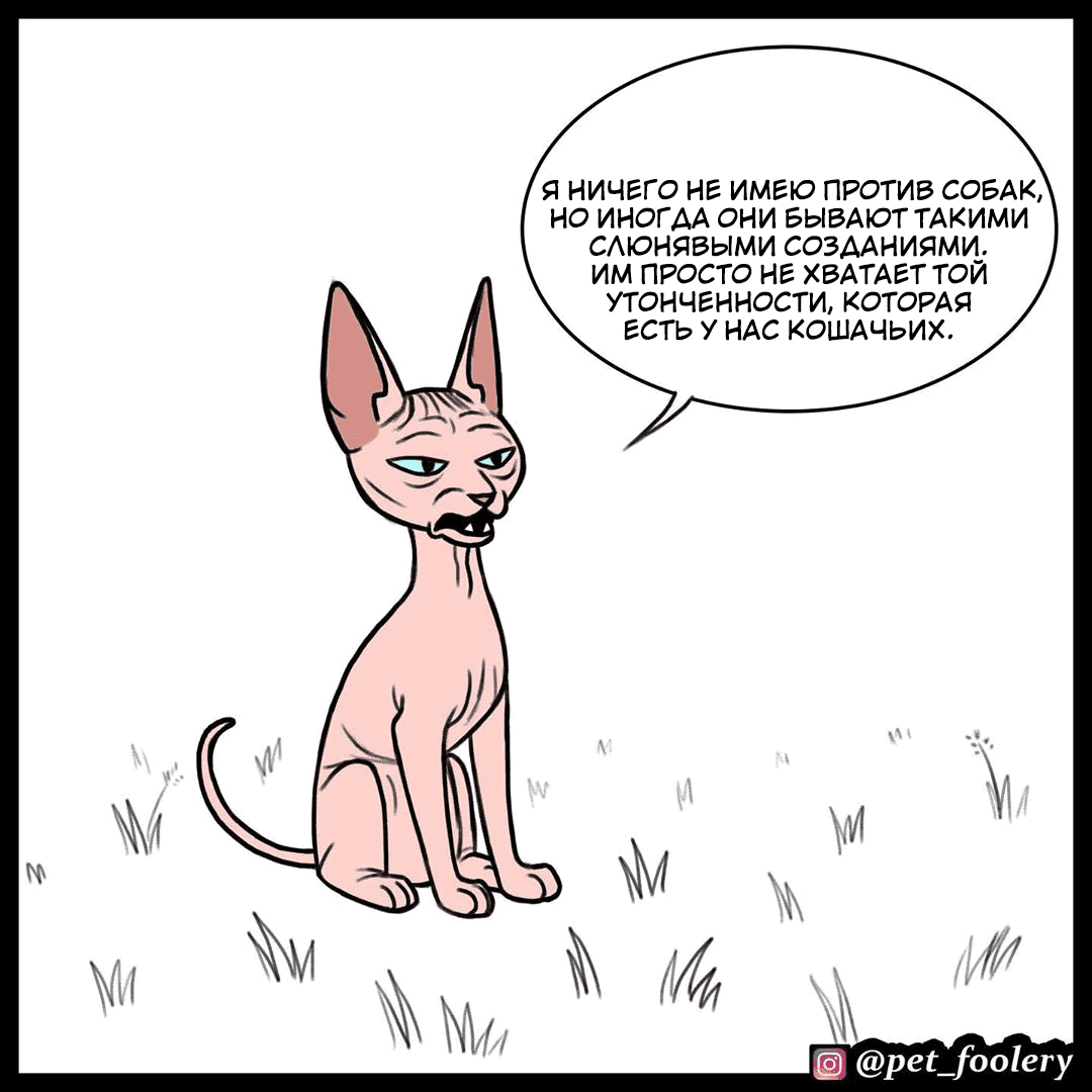 Манга Брут и Пикси - Глава 74 Страница 2