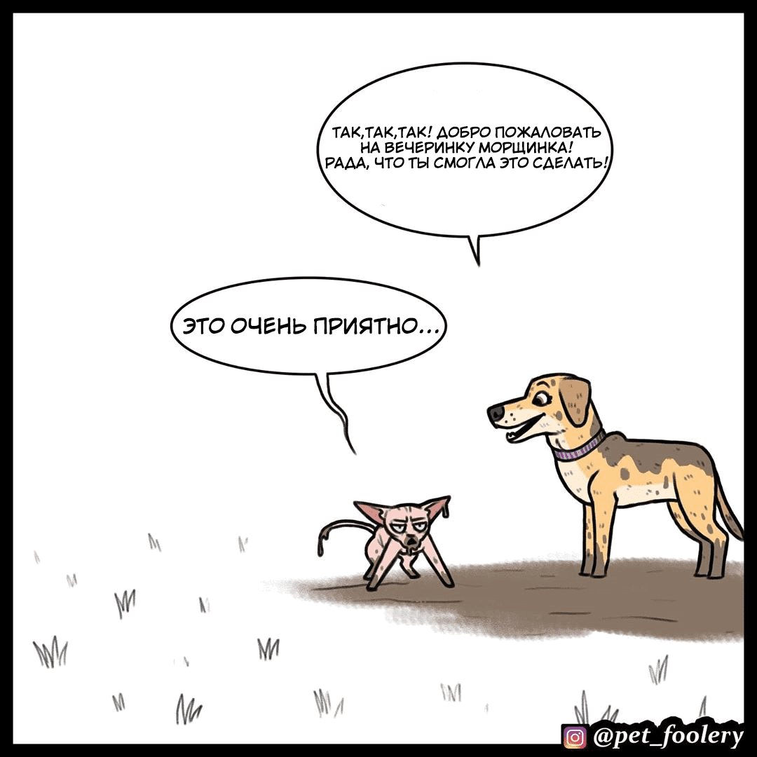 Манга Брут и Пикси - Глава 74 Страница 8