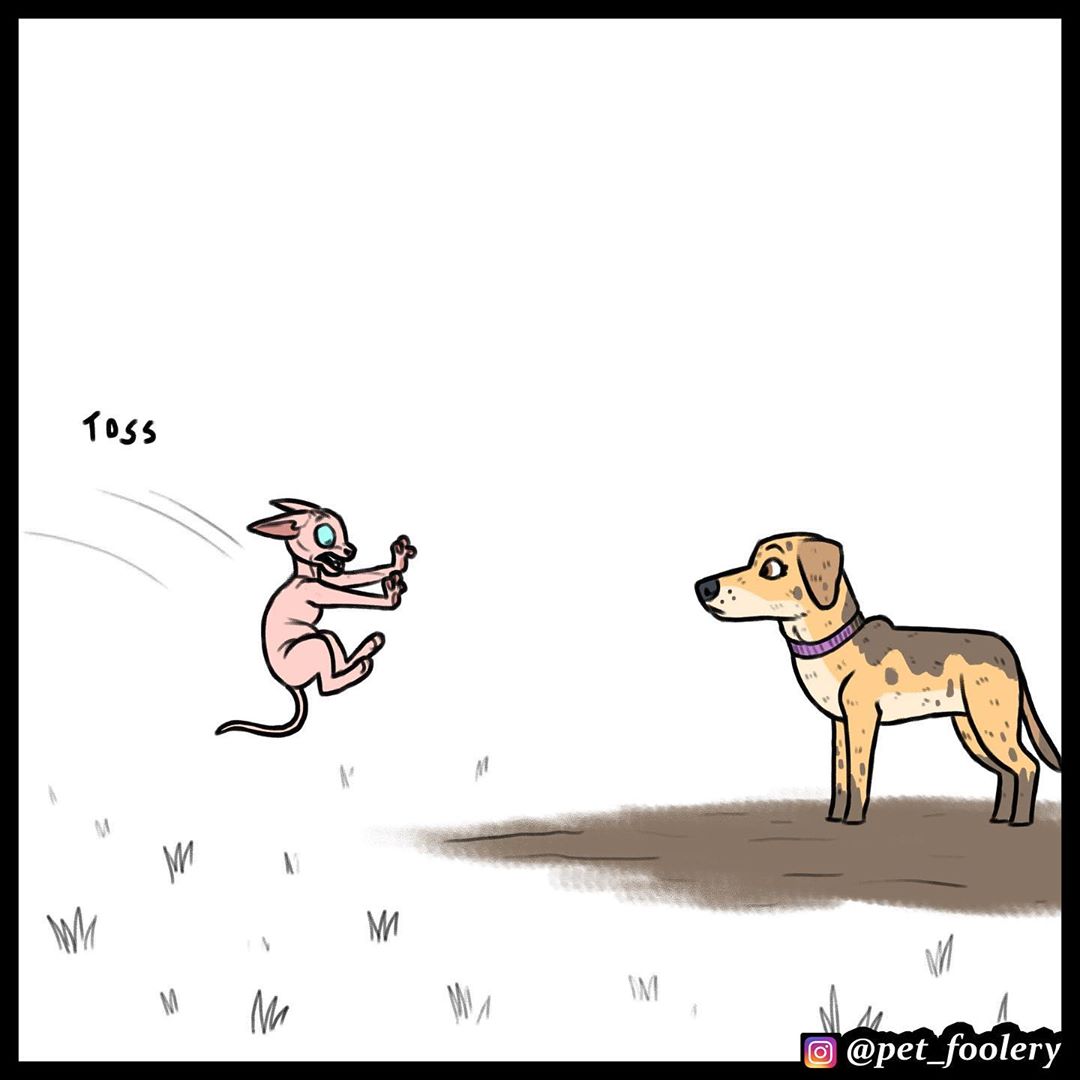 Манга Брут и Пикси - Глава 74 Страница 6