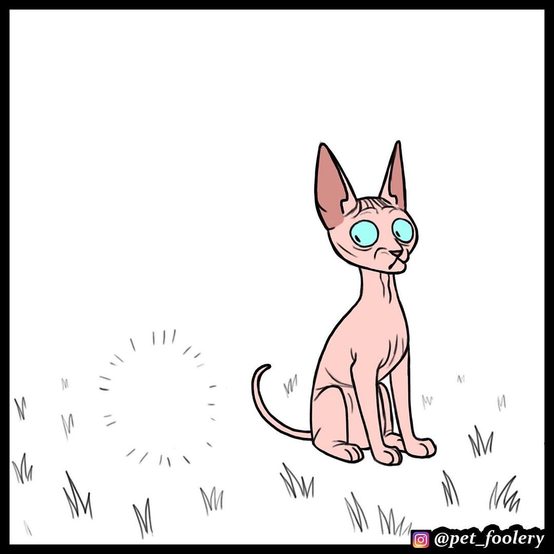 Манга Брут и Пикси - Глава 74 Страница 3