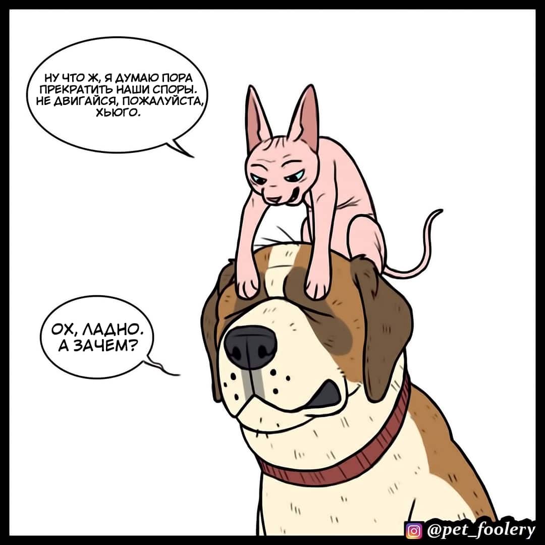 Манга Брут и Пикси - Глава 75 Страница 4