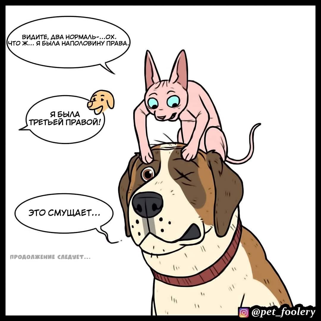 Манга Брут и Пикси - Глава 75 Страница 5