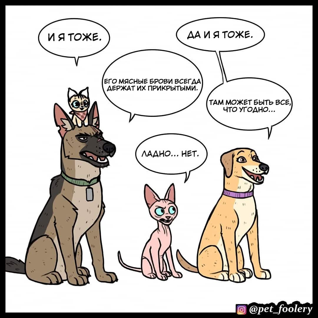 Манга Брут и Пикси - Глава 75 Страница 2