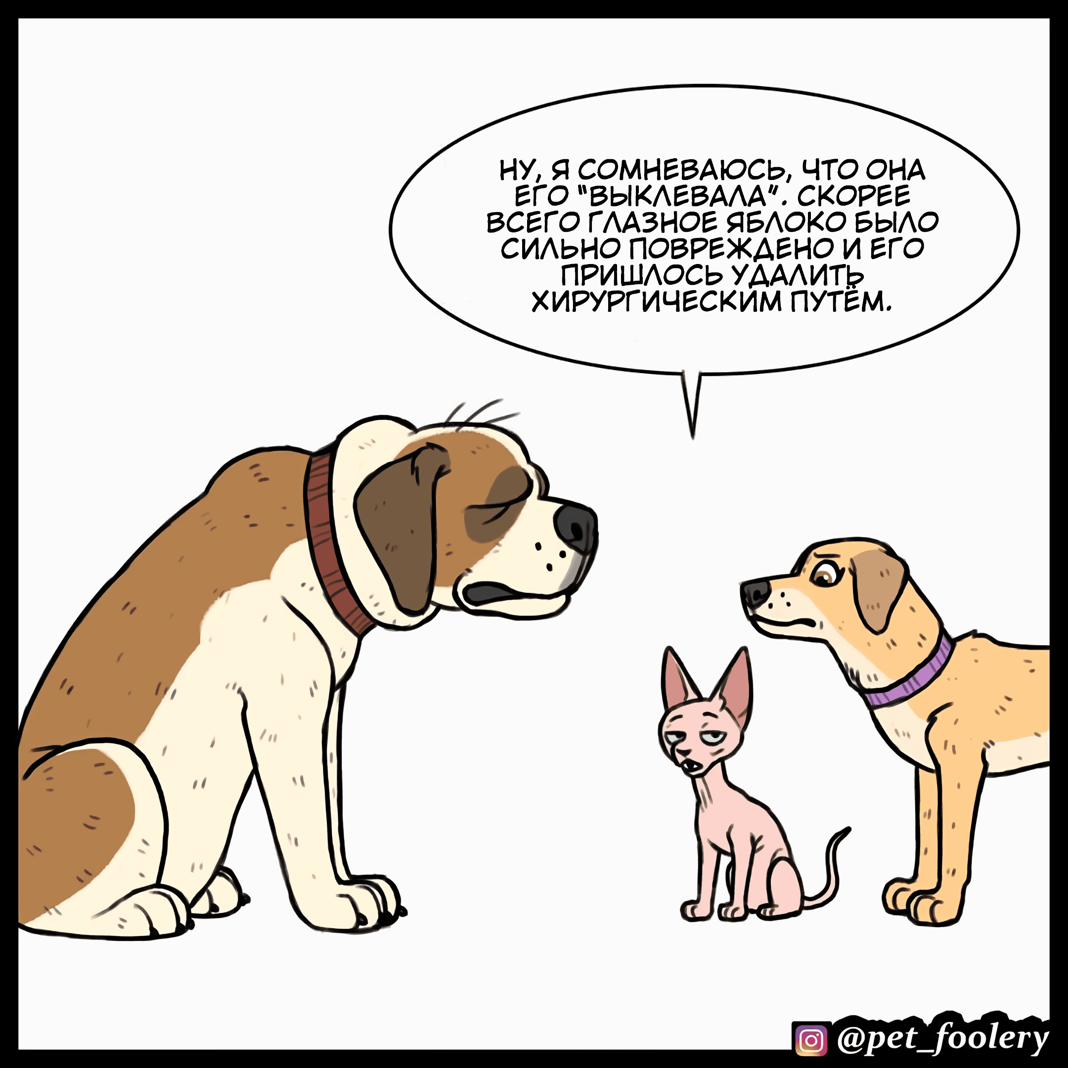 Манга Брут и Пикси - Глава 77 Страница 6