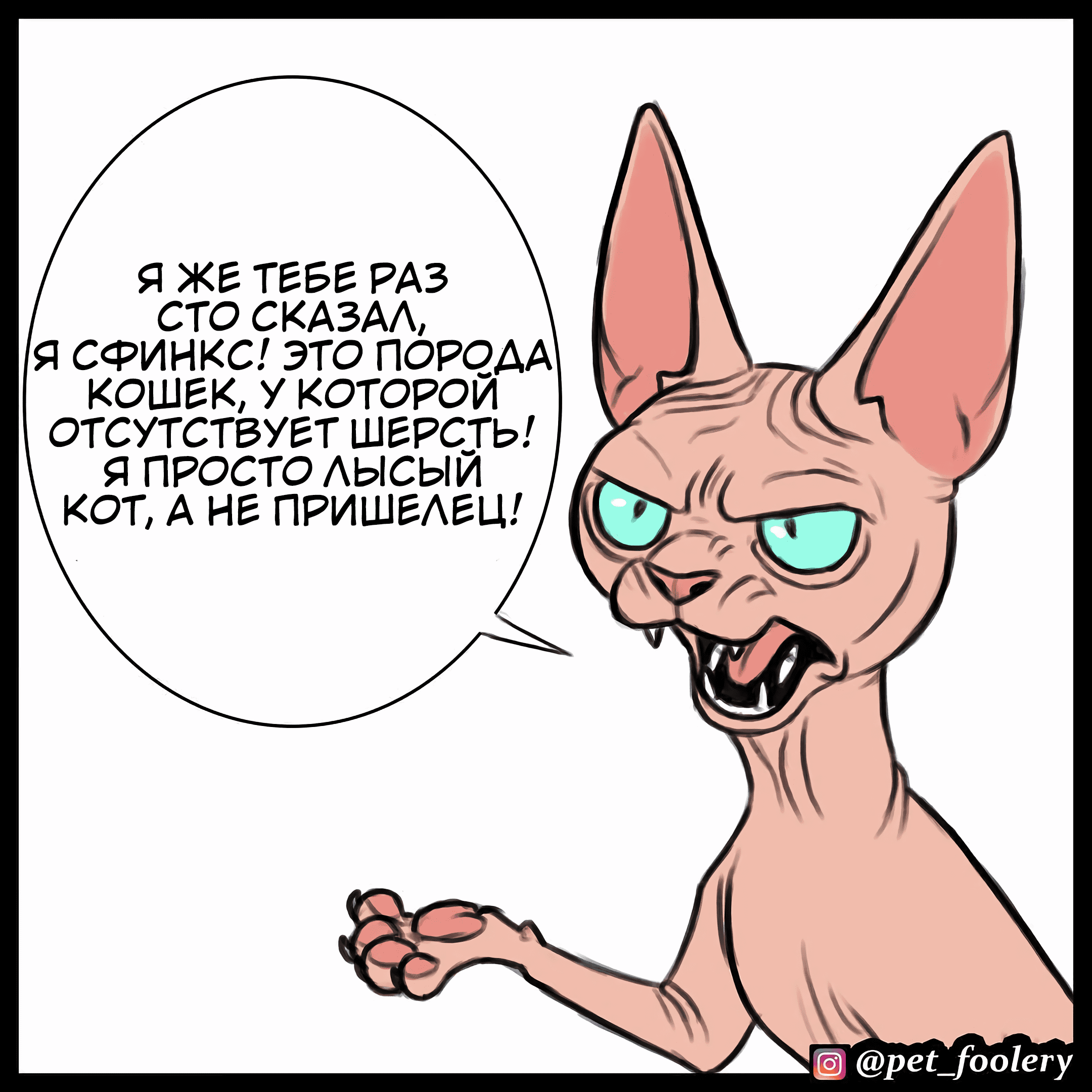 Манга Брут и Пикси - Глава 78.2 Страница 4