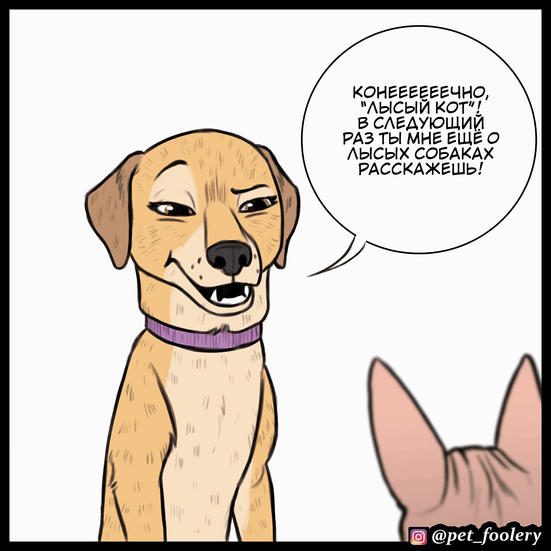 Манга Брут и Пикси - Глава 78.2 Страница 5