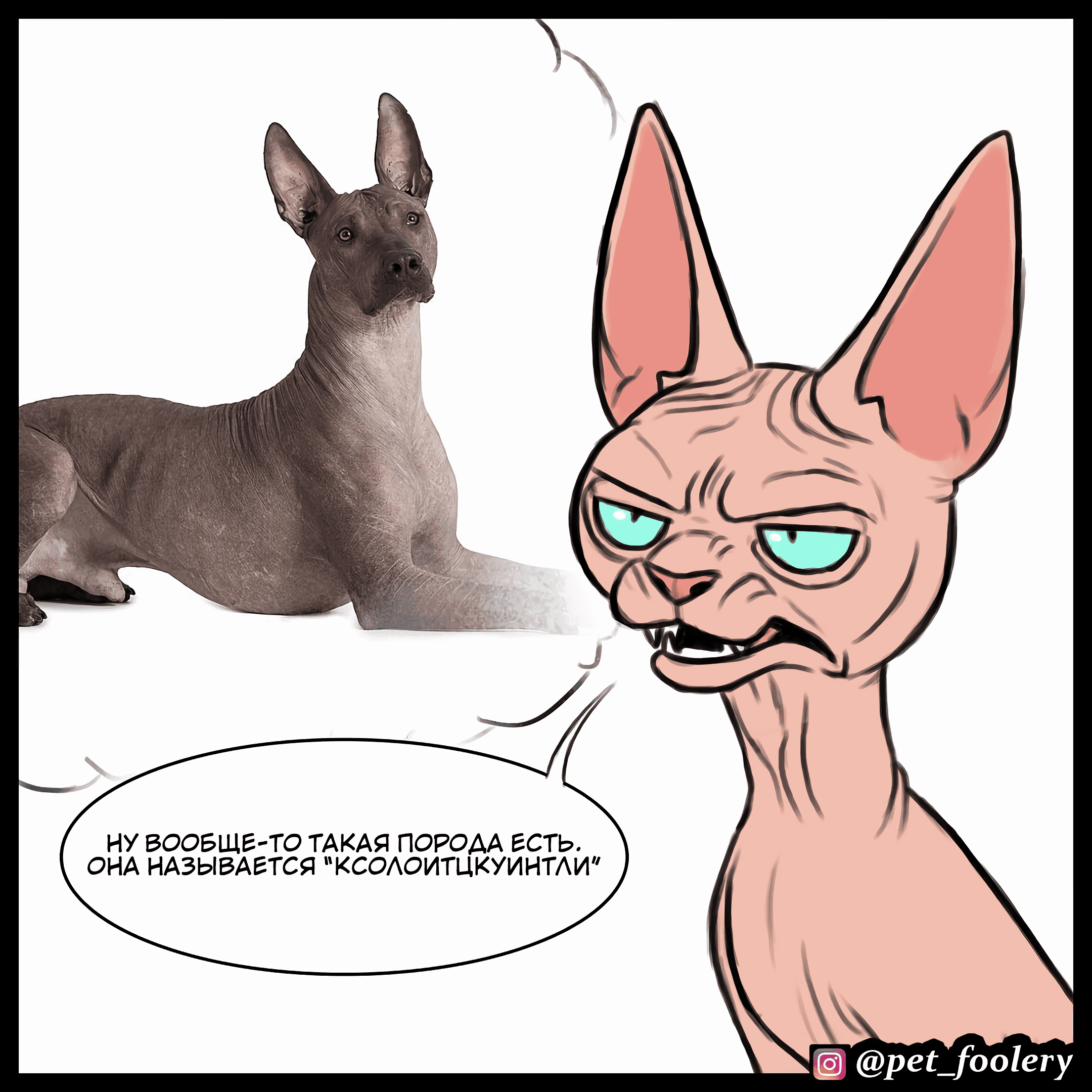 Манга Брут и Пикси - Глава 78.2 Страница 6