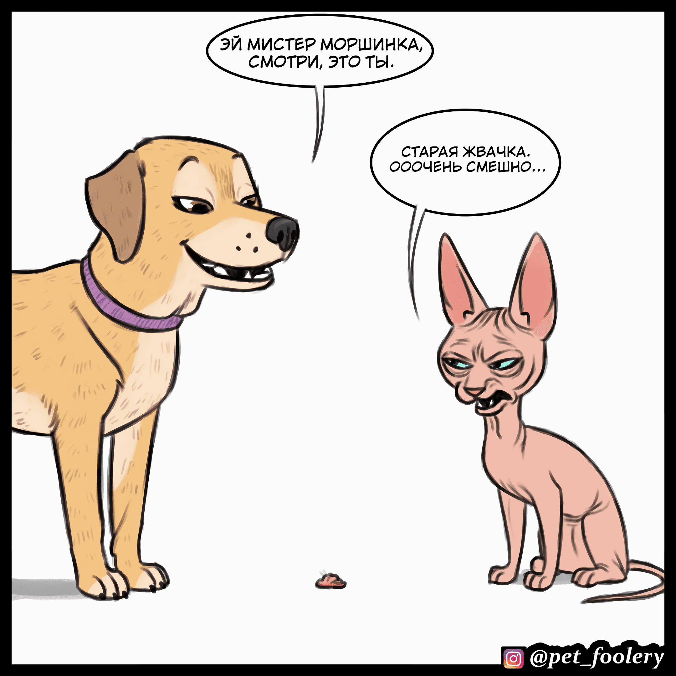 Манга Брут и Пикси - Глава 78.5 Страница 1