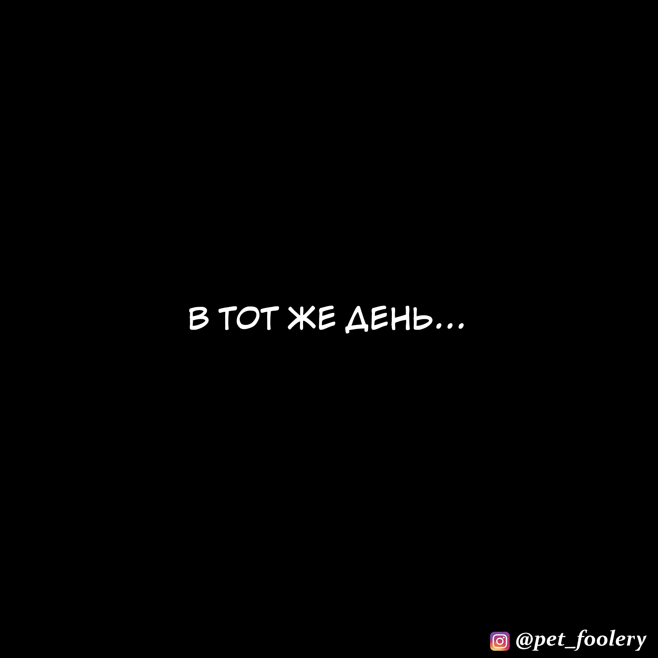 Манга Брут и Пикси - Глава 78.5 Страница 2