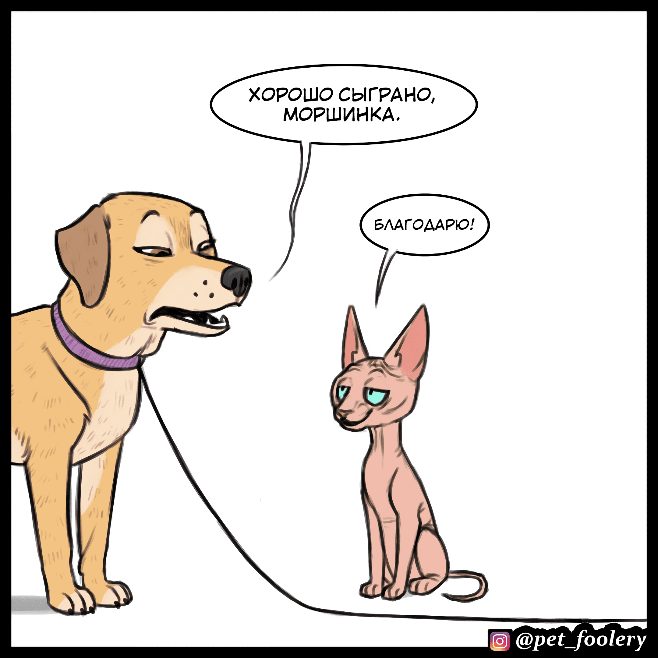 Манга Брут и Пикси - Глава 79.5 Страница 7