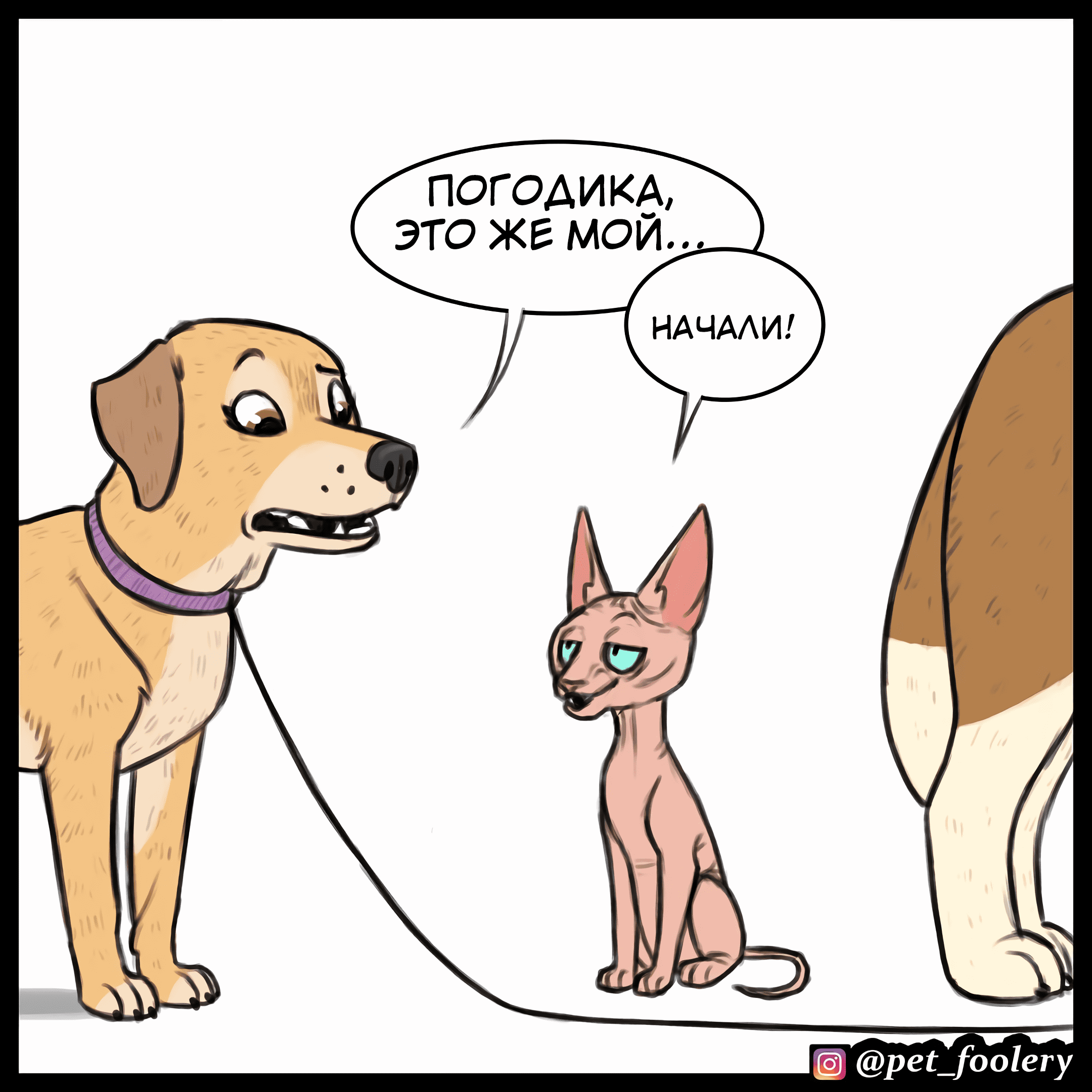 Манга Брут и Пикси - Глава 79.5 Страница 5