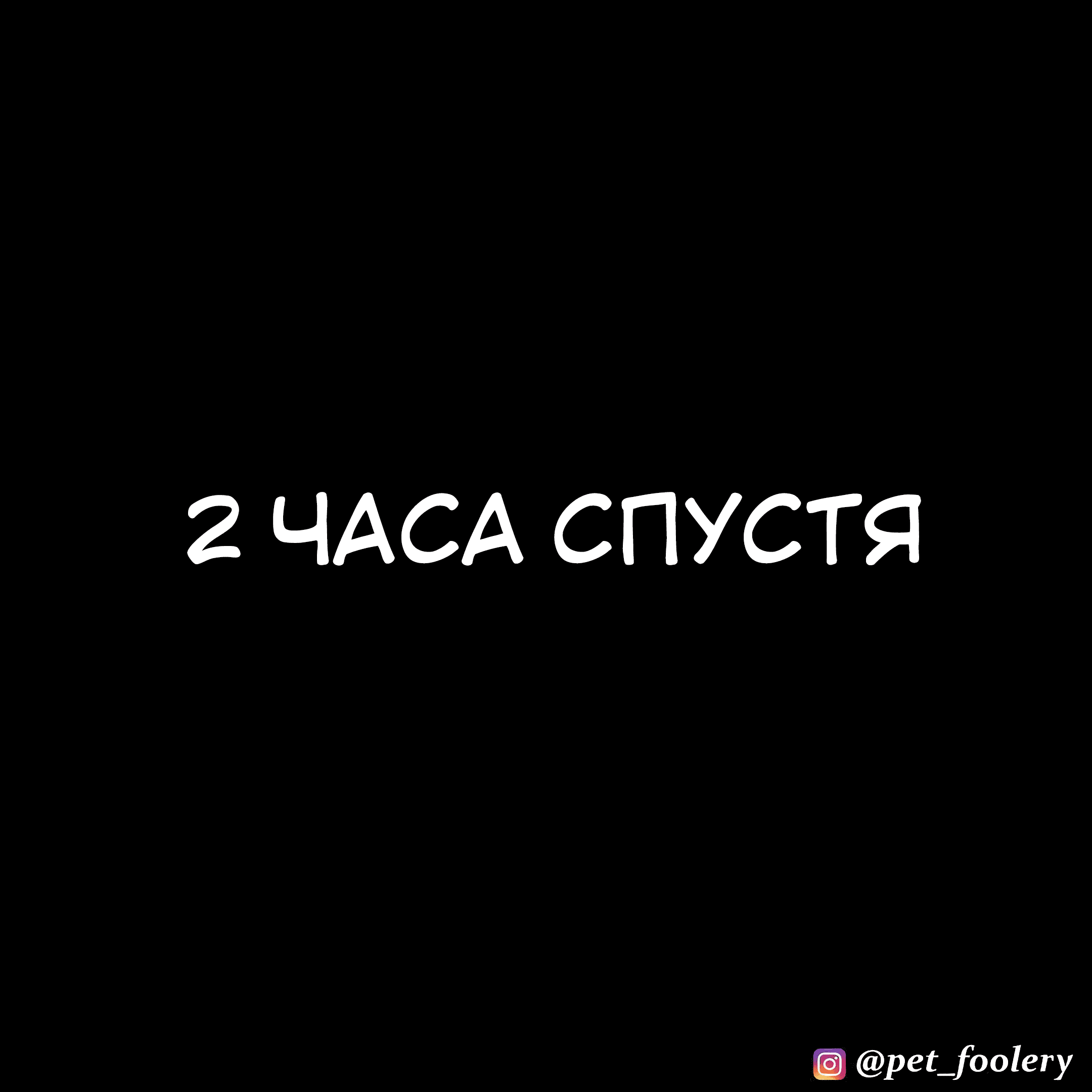 Манга Брут и Пикси - Глава 79.3 Страница 5