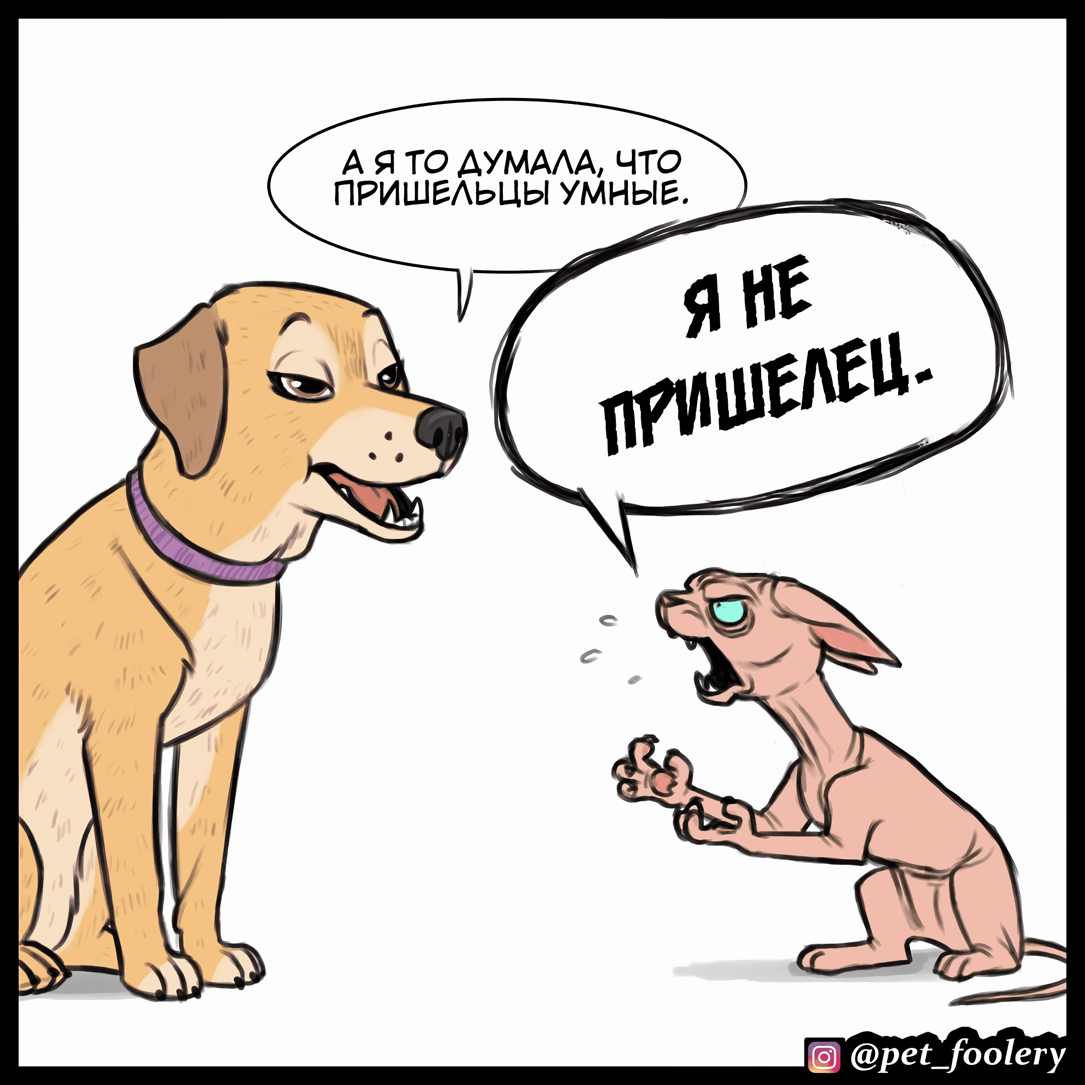 Манга Брут и Пикси - Глава 79.2 Страница 9