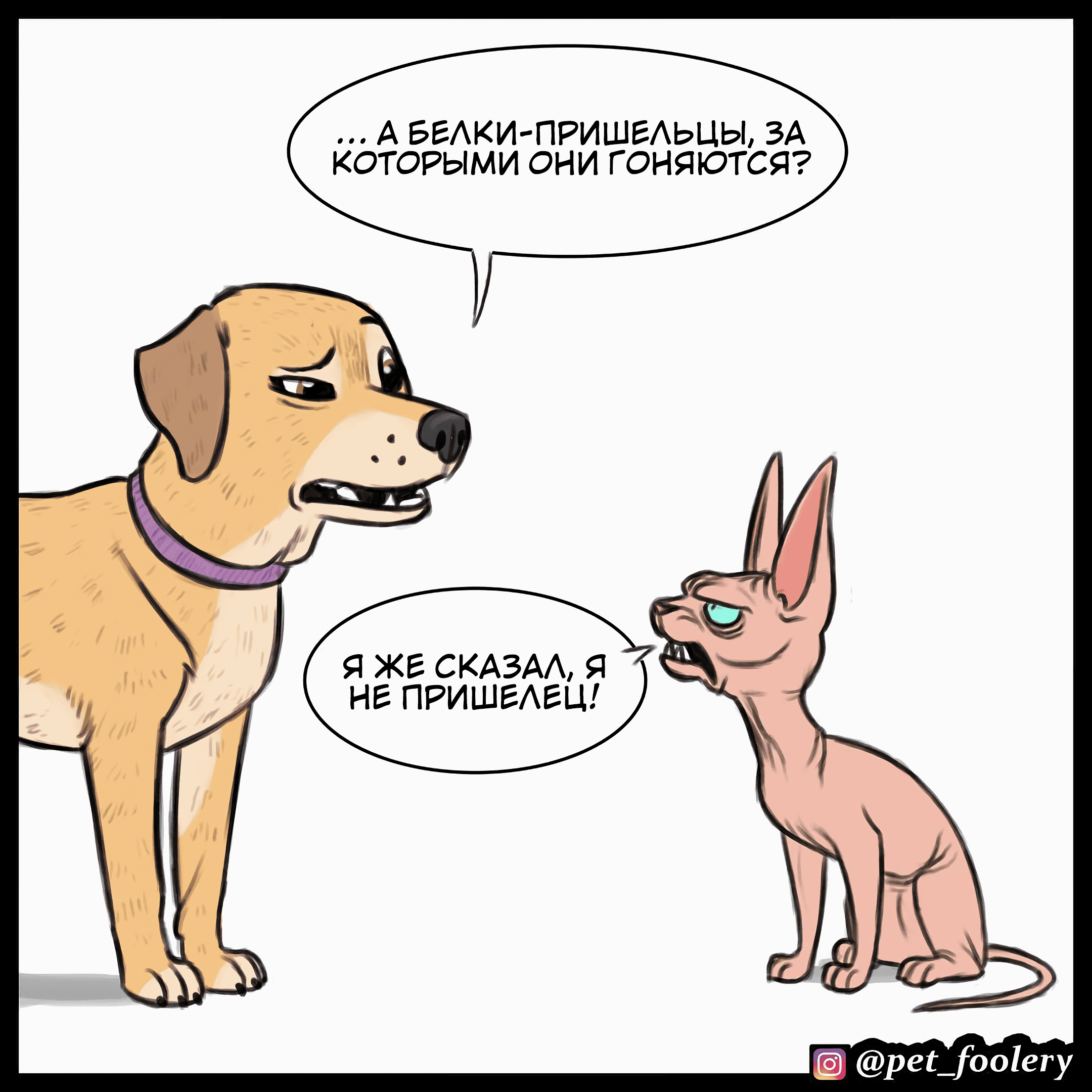 Манга Брут и Пикси - Глава 79.2 Страница 3