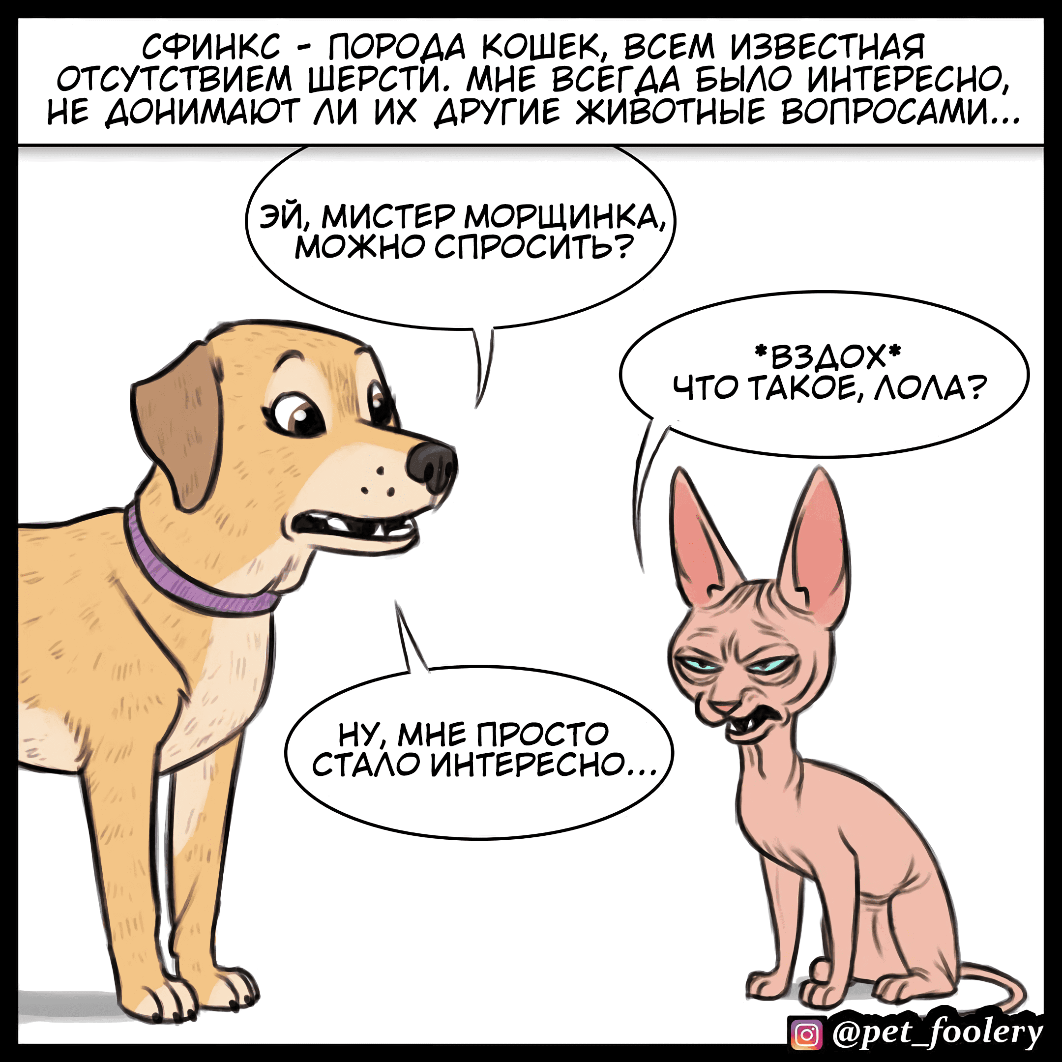 Манга Брут и Пикси - Глава 79.2 Страница 1