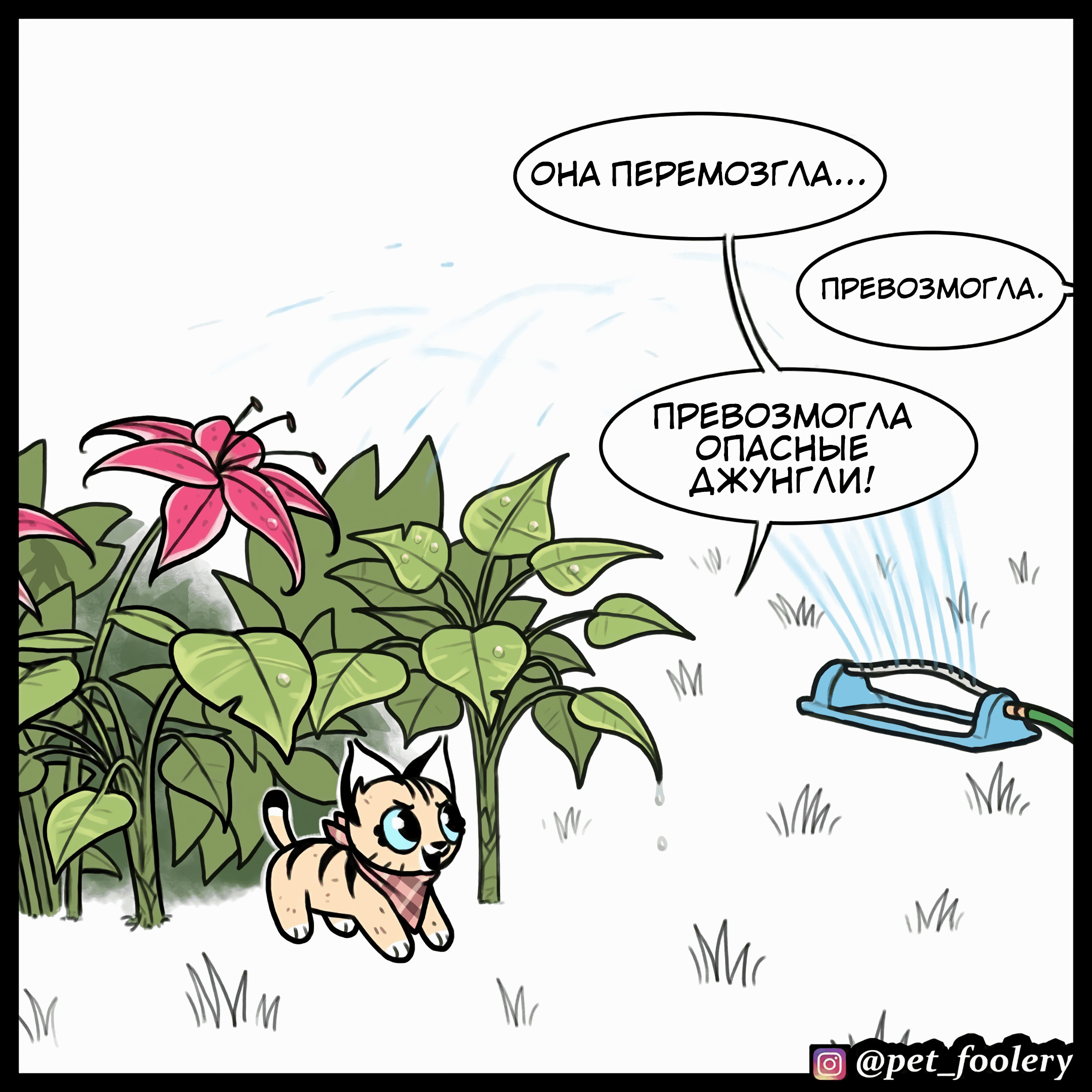 Манга Брут и Пикси - Глава 79 Страница 2