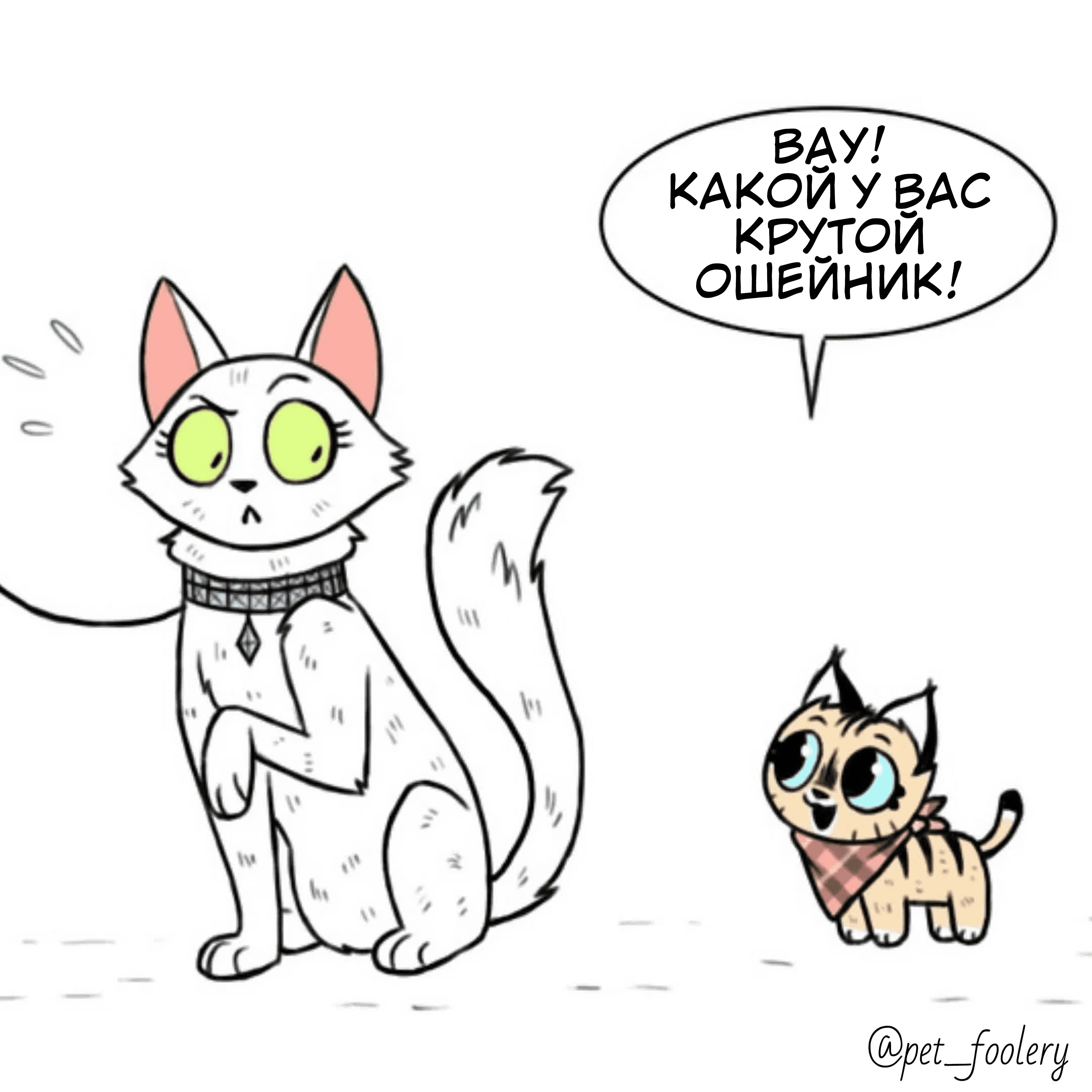 Манга Брут и Пикси - Глава 83 Страница 1