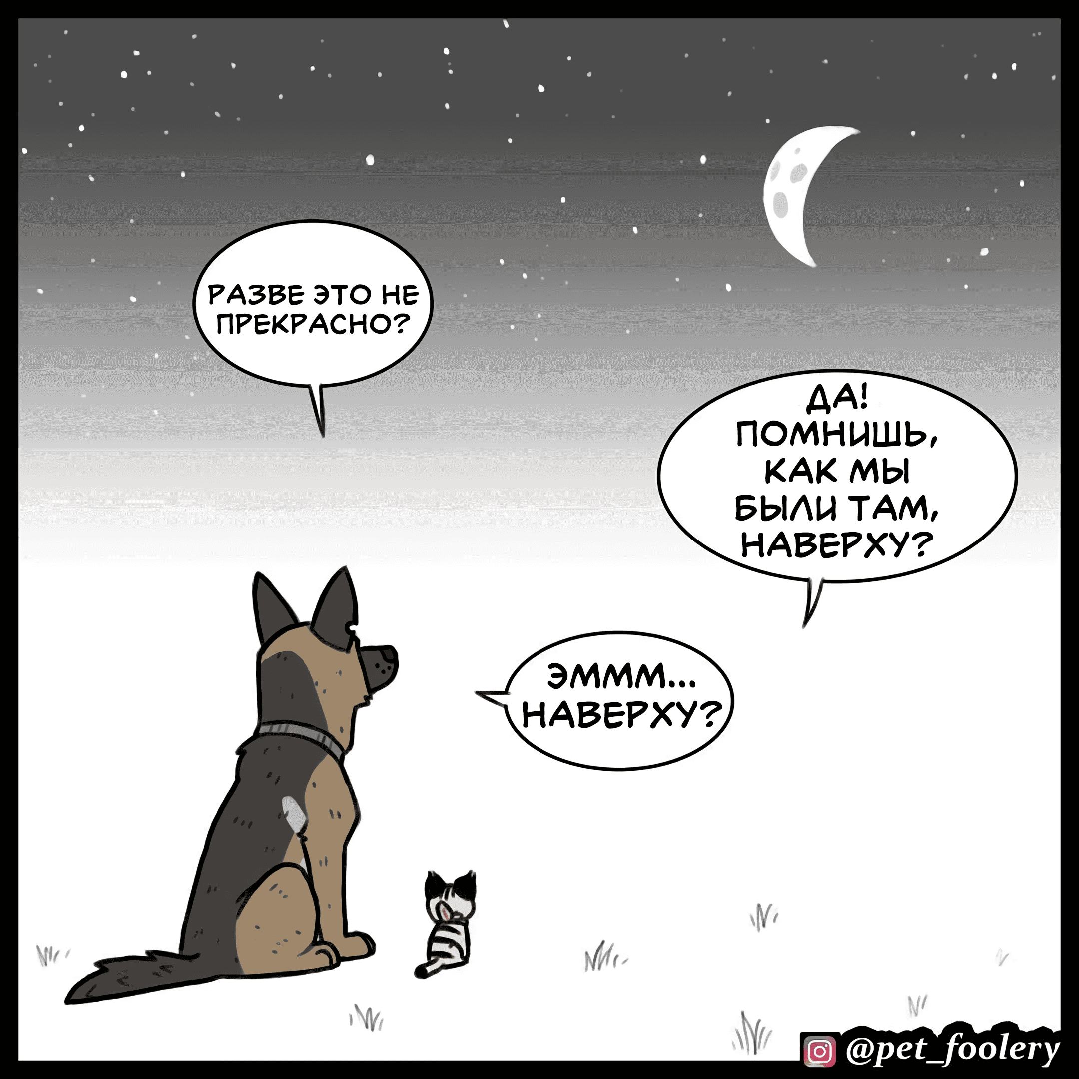 Манга Брут и Пикси - Глава 89 Страница 1