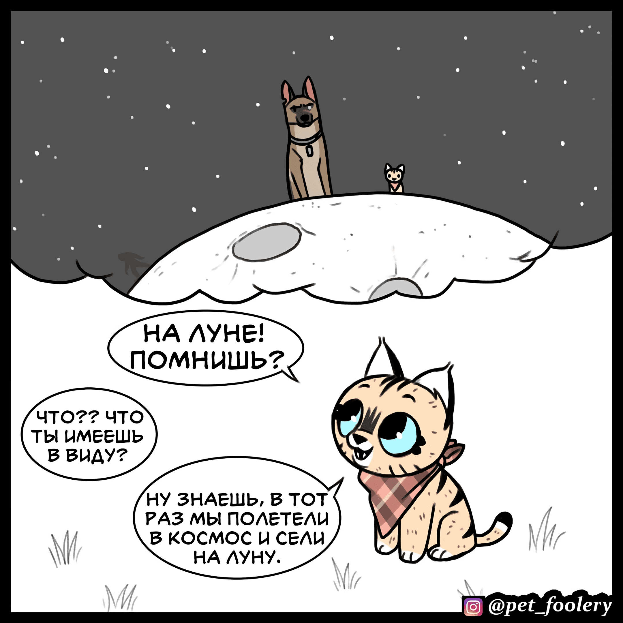 Манга Брут и Пикси - Глава 89 Страница 2