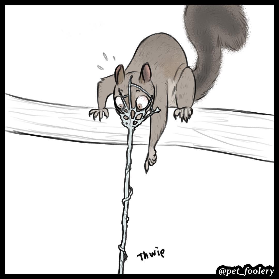 Манга Брут и Пикси - Глава 89.4 Страница 8