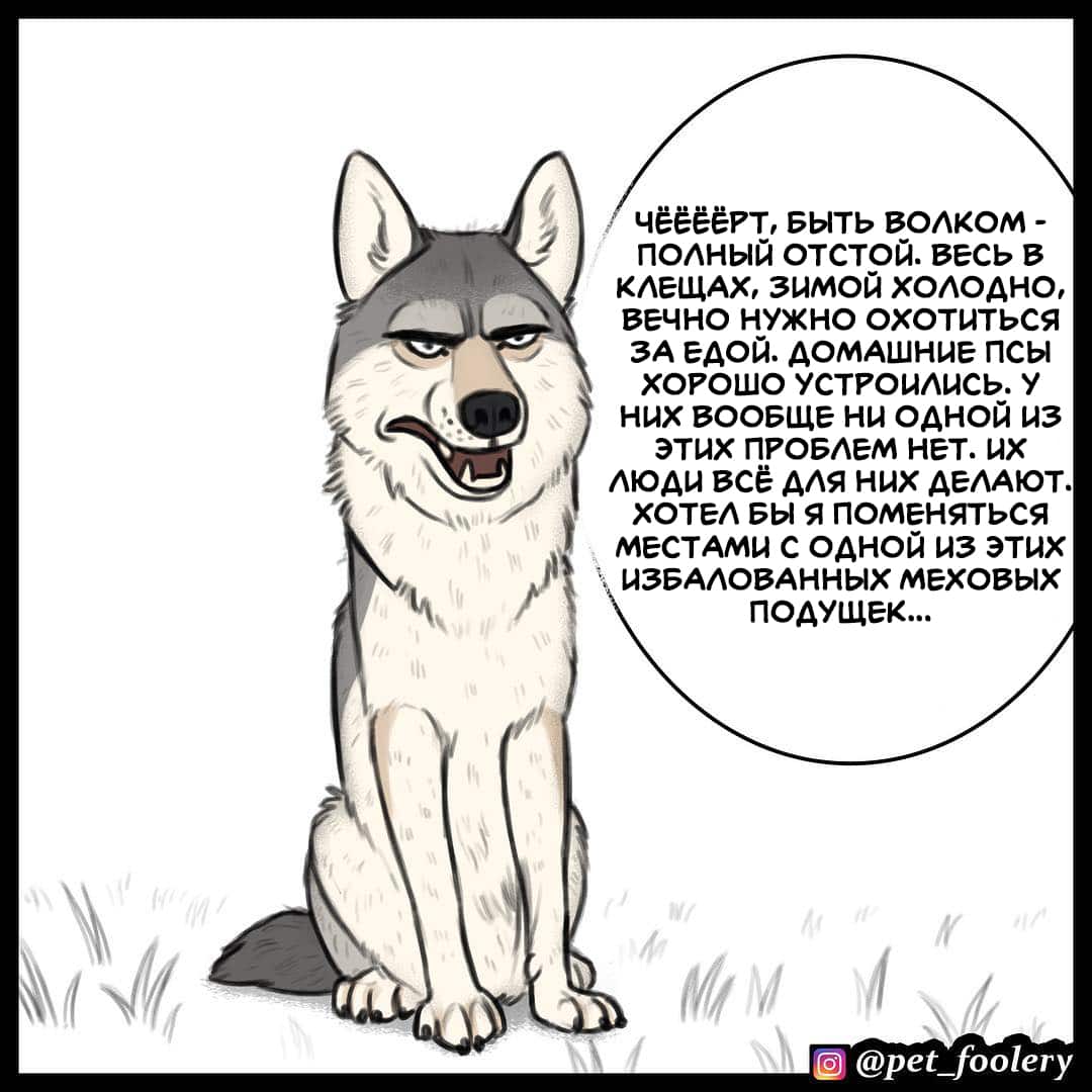 Манга Брут и Пикси - Глава 89.3 Страница 1