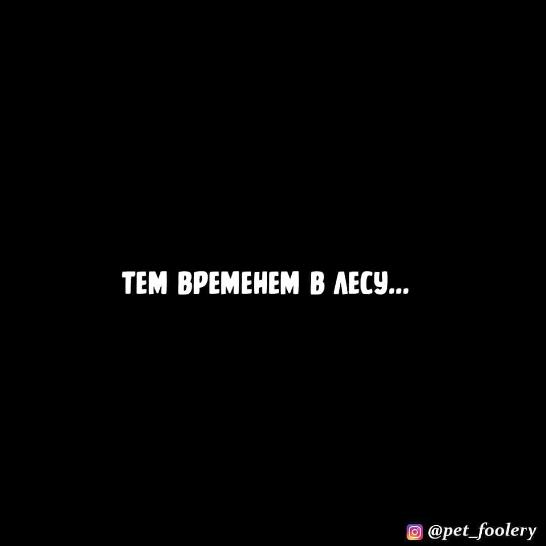 Манга Брут и Пикси - Глава 89.3 Страница 6