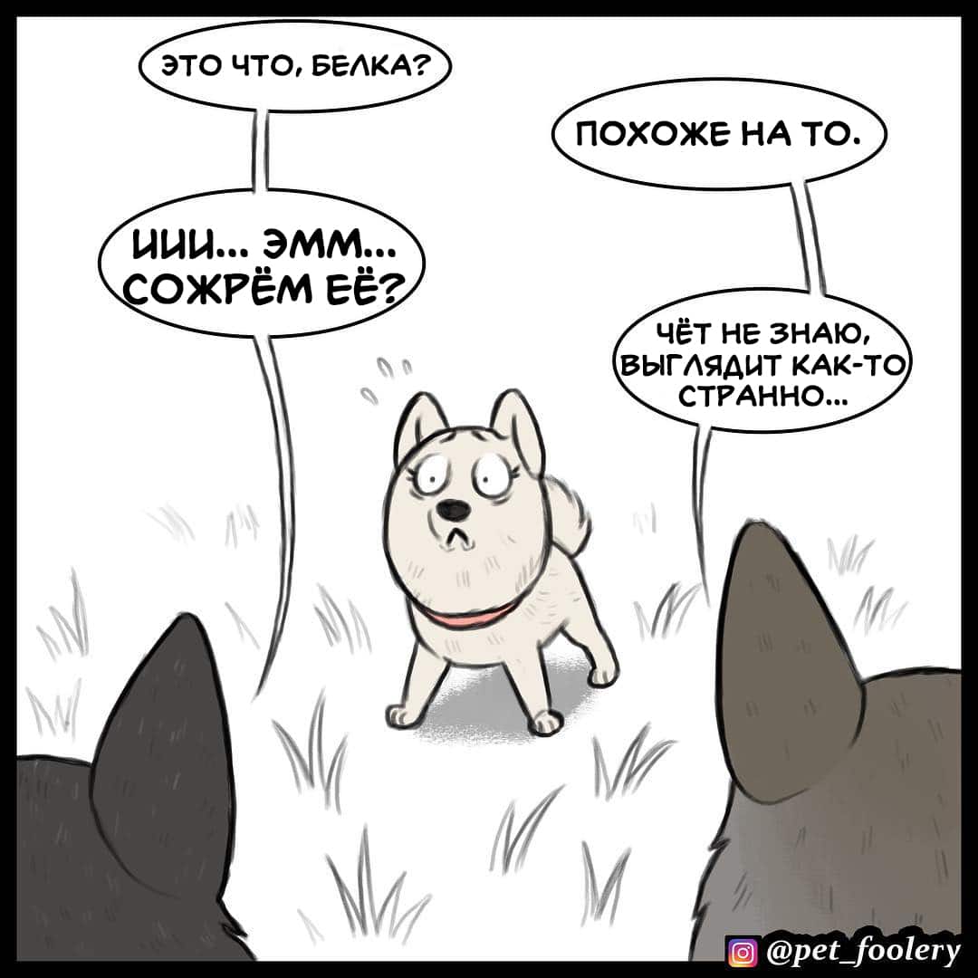 Манга Брут и Пикси - Глава 89.3 Страница 7