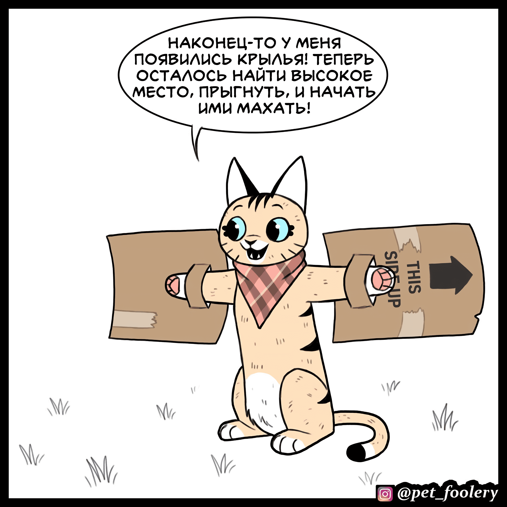 Манга Брут и Пикси - Глава 90 Страница 1