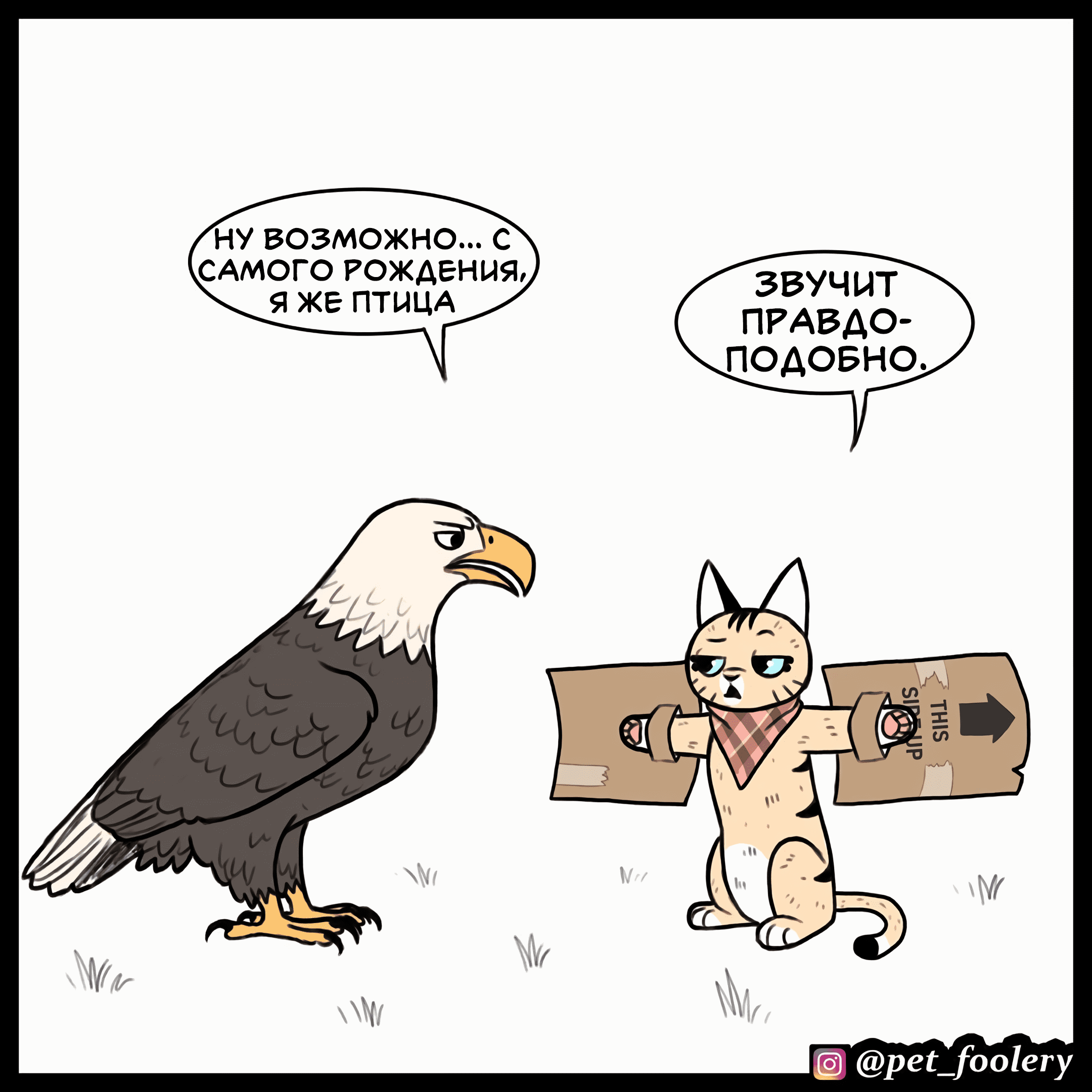 Манга Брут и Пикси - Глава 90 Страница 3