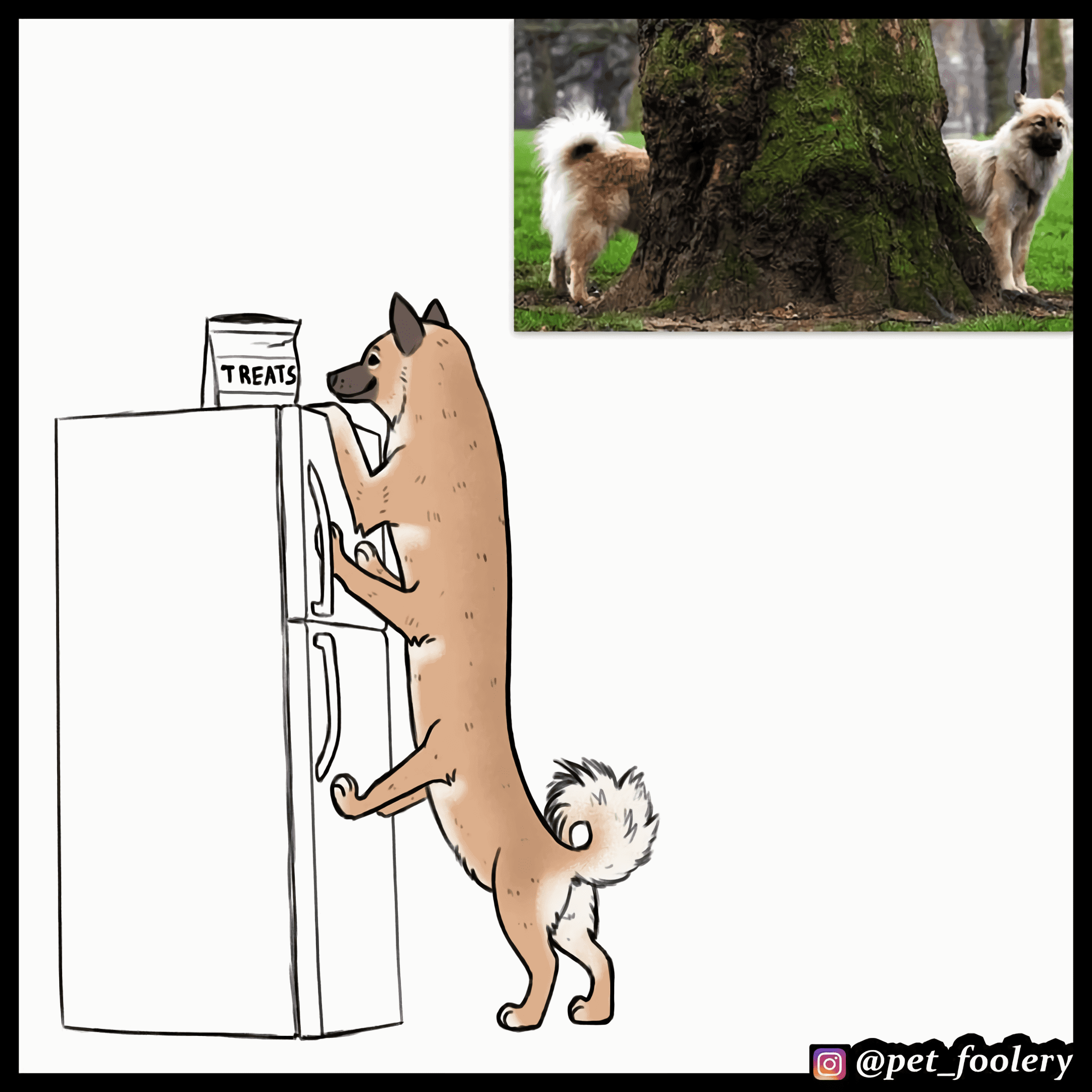 Манга Брут и Пикси - Глава 90.1 Страница 6