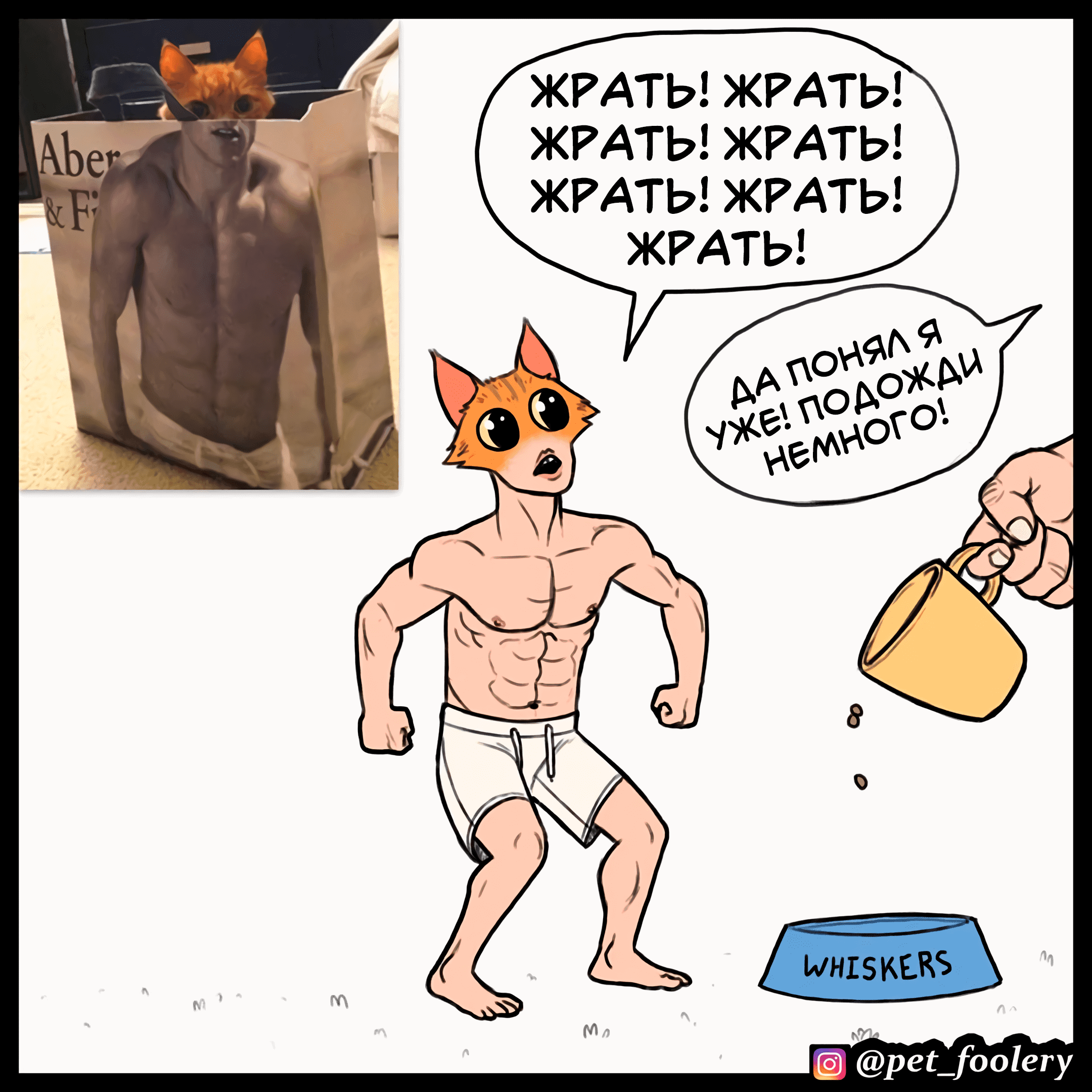 Манга Брут и Пикси - Глава 90.1 Страница 3