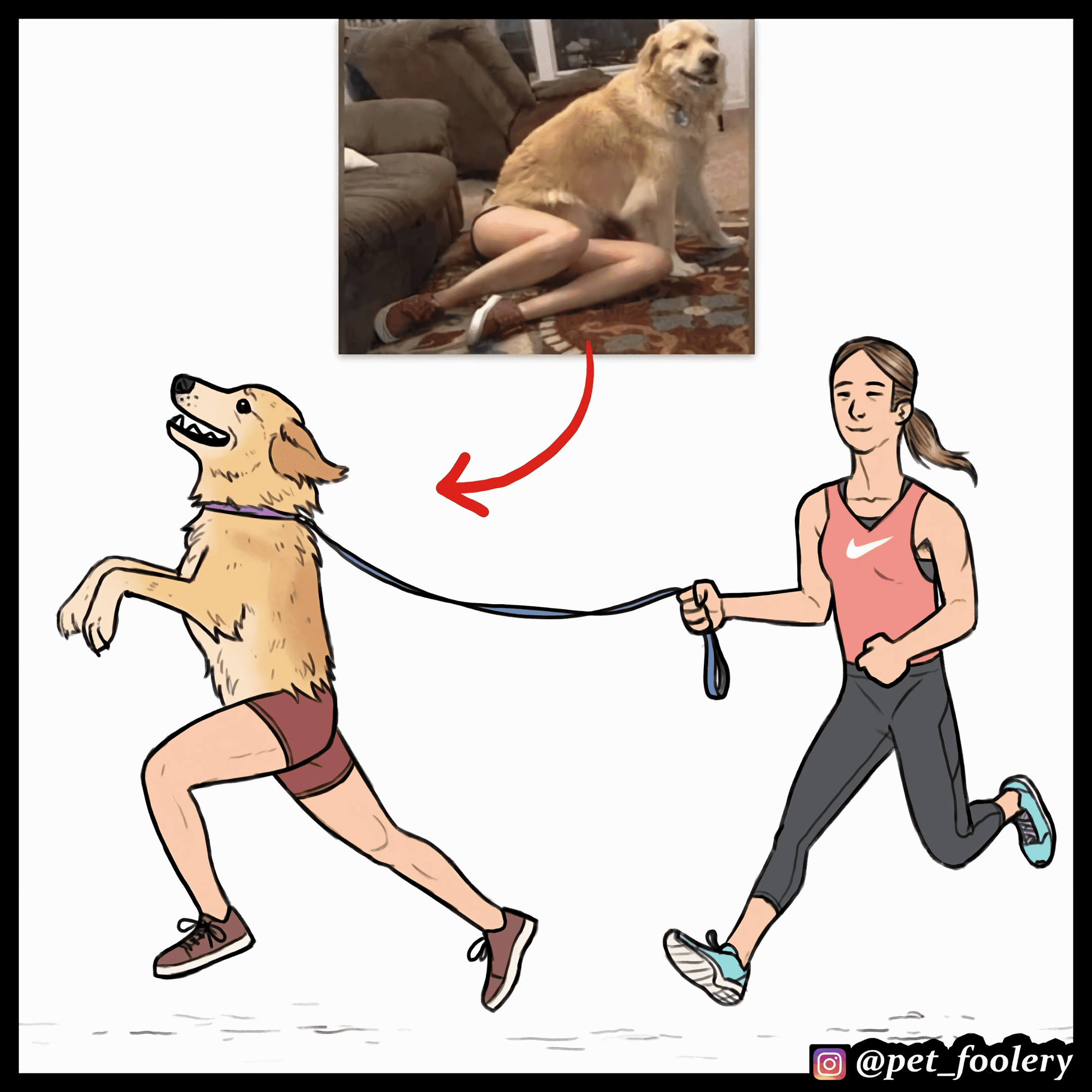 Манга Брут и Пикси - Глава 90.1 Страница 1