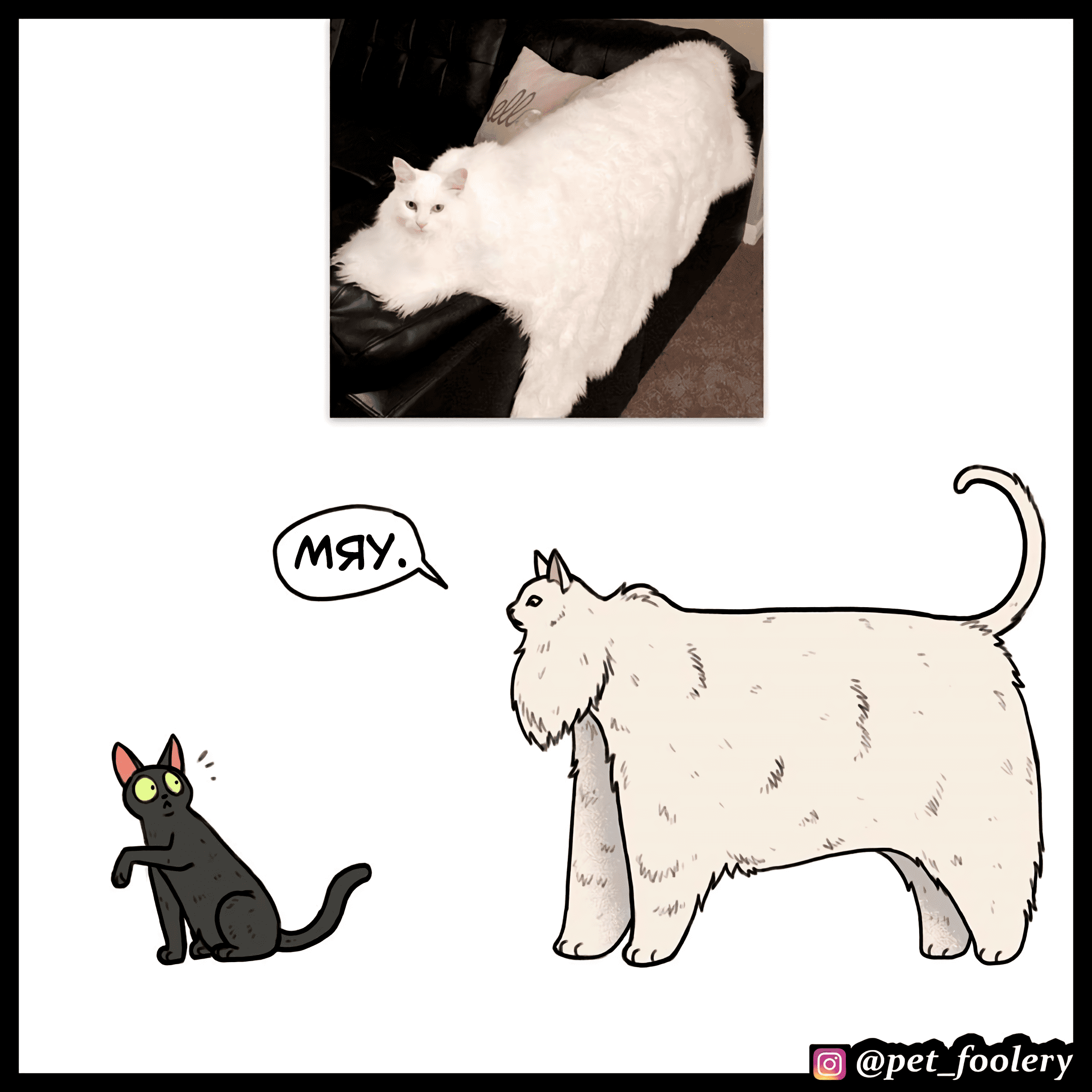 Манга Брут и Пикси - Глава 90.1 Страница 5