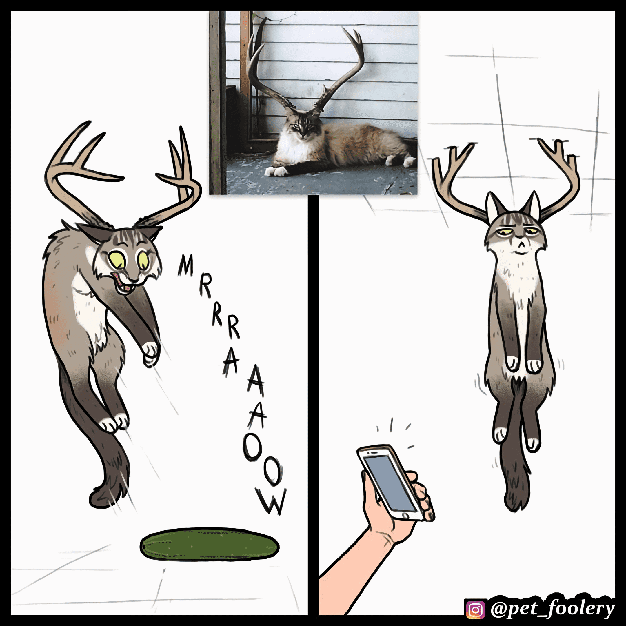 Манга Брут и Пикси - Глава 90.1 Страница 4