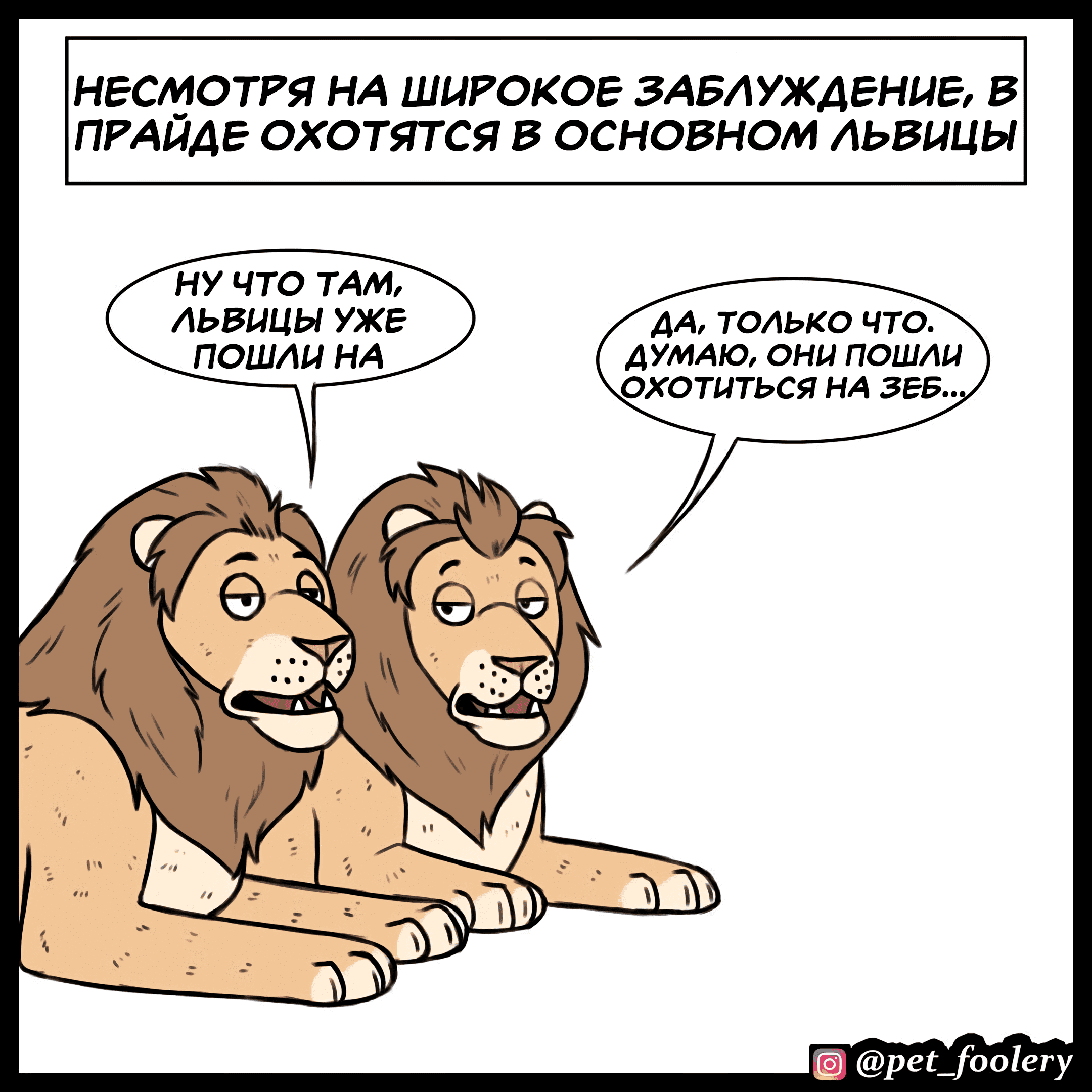 Манга Брут и Пикси - Глава 90.6 Страница 1