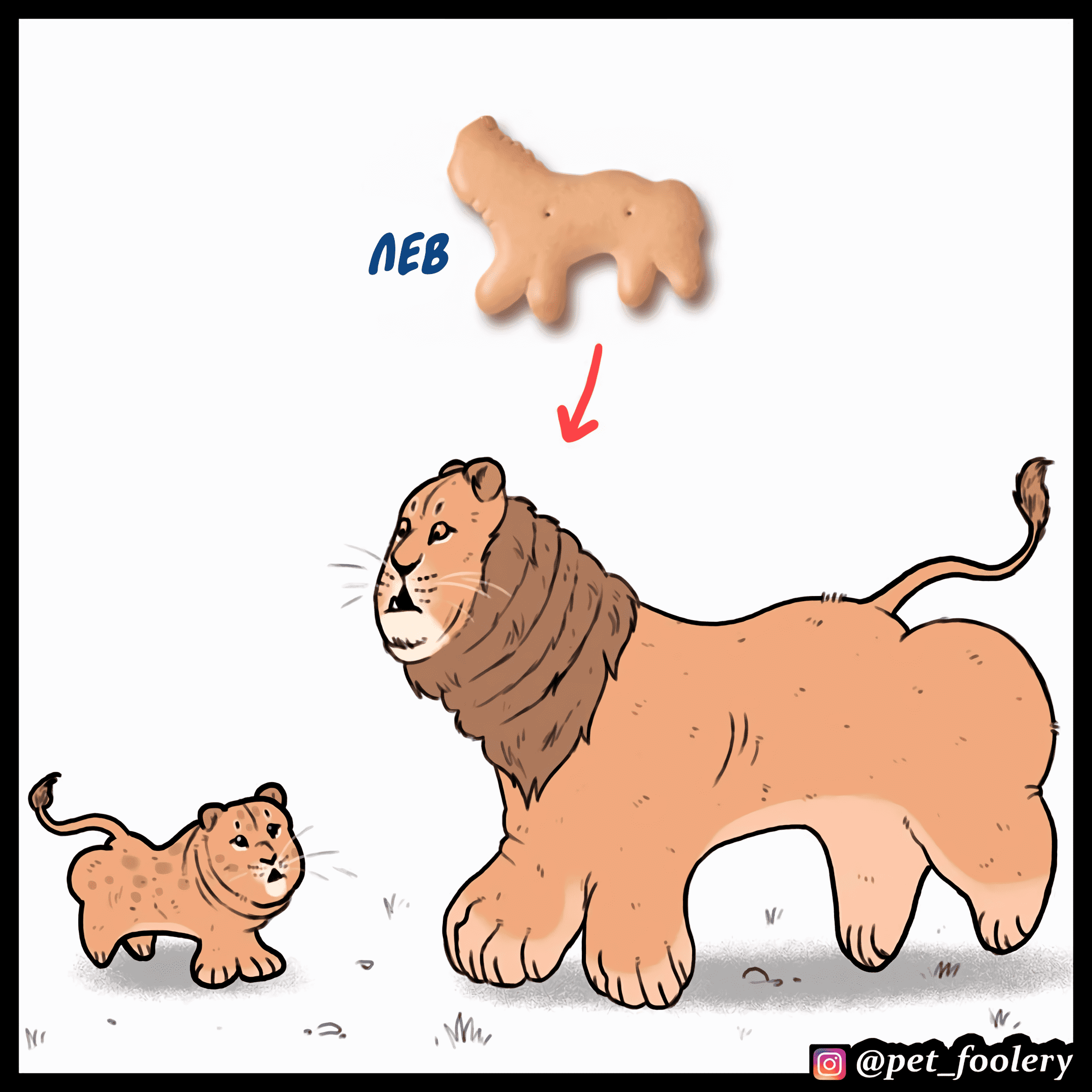 Манга Брут и Пикси - Глава 90.8 Страница 2