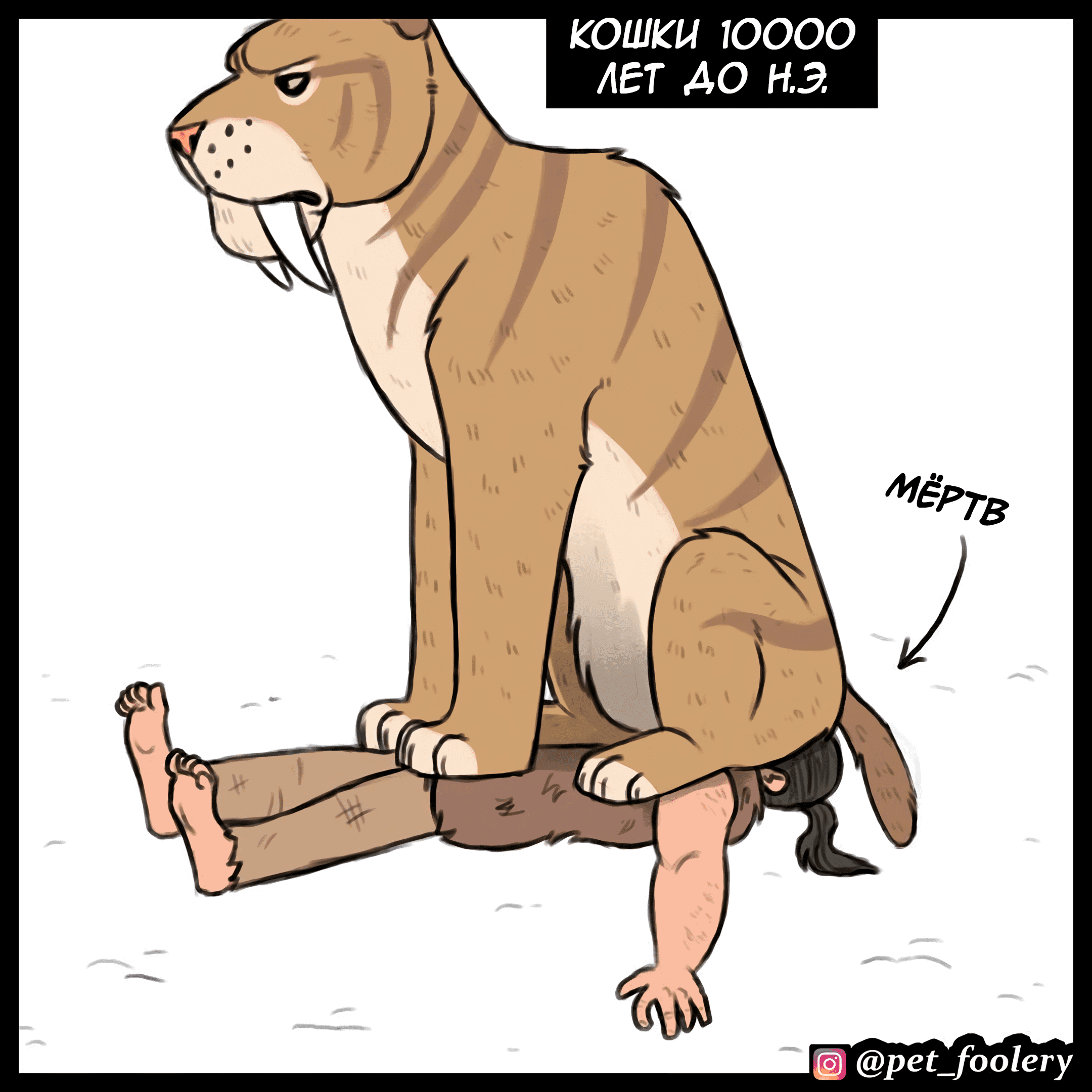 Манга Брут и Пикси - Глава 91.5 Страница 8