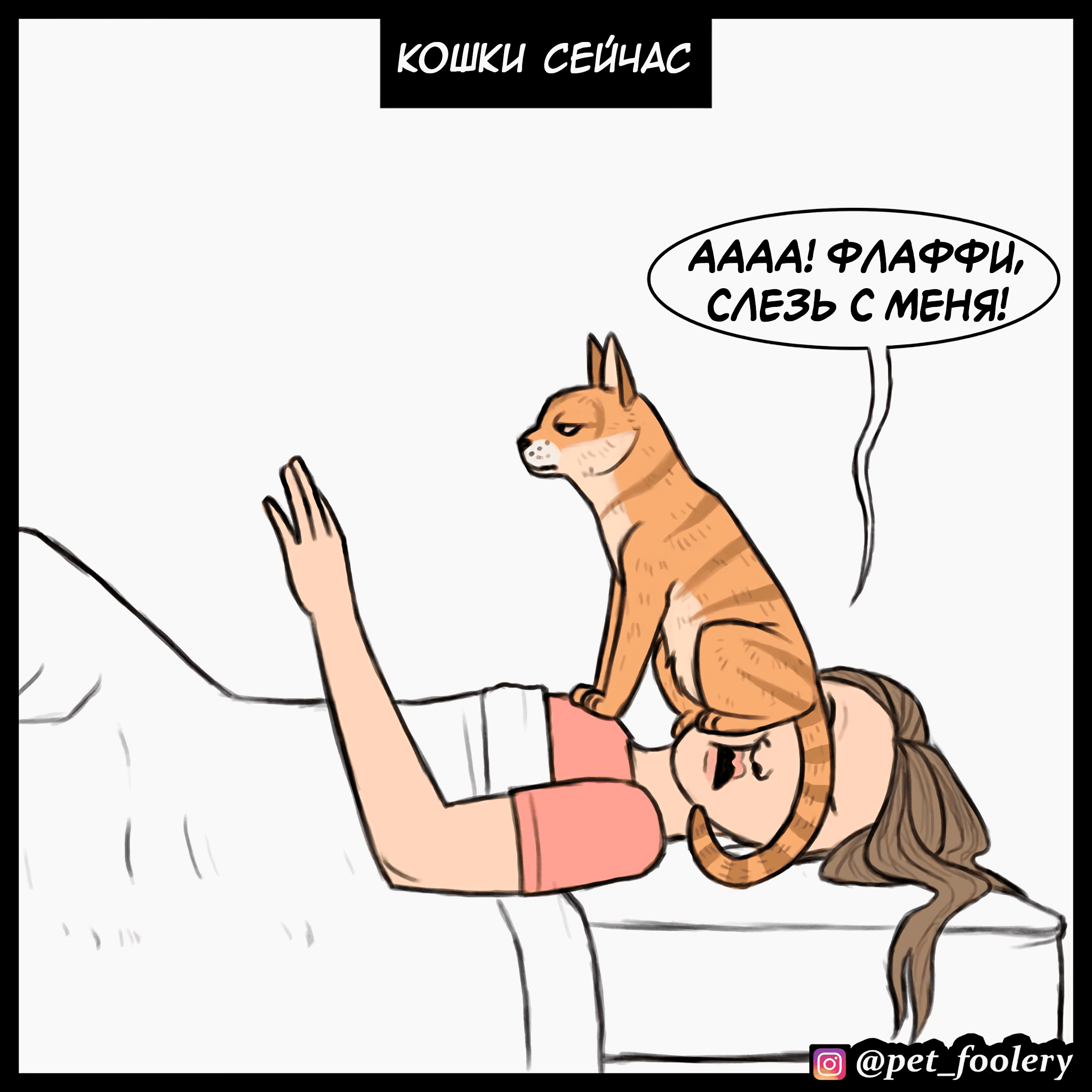 Манга Брут и Пикси - Глава 91.5 Страница 7