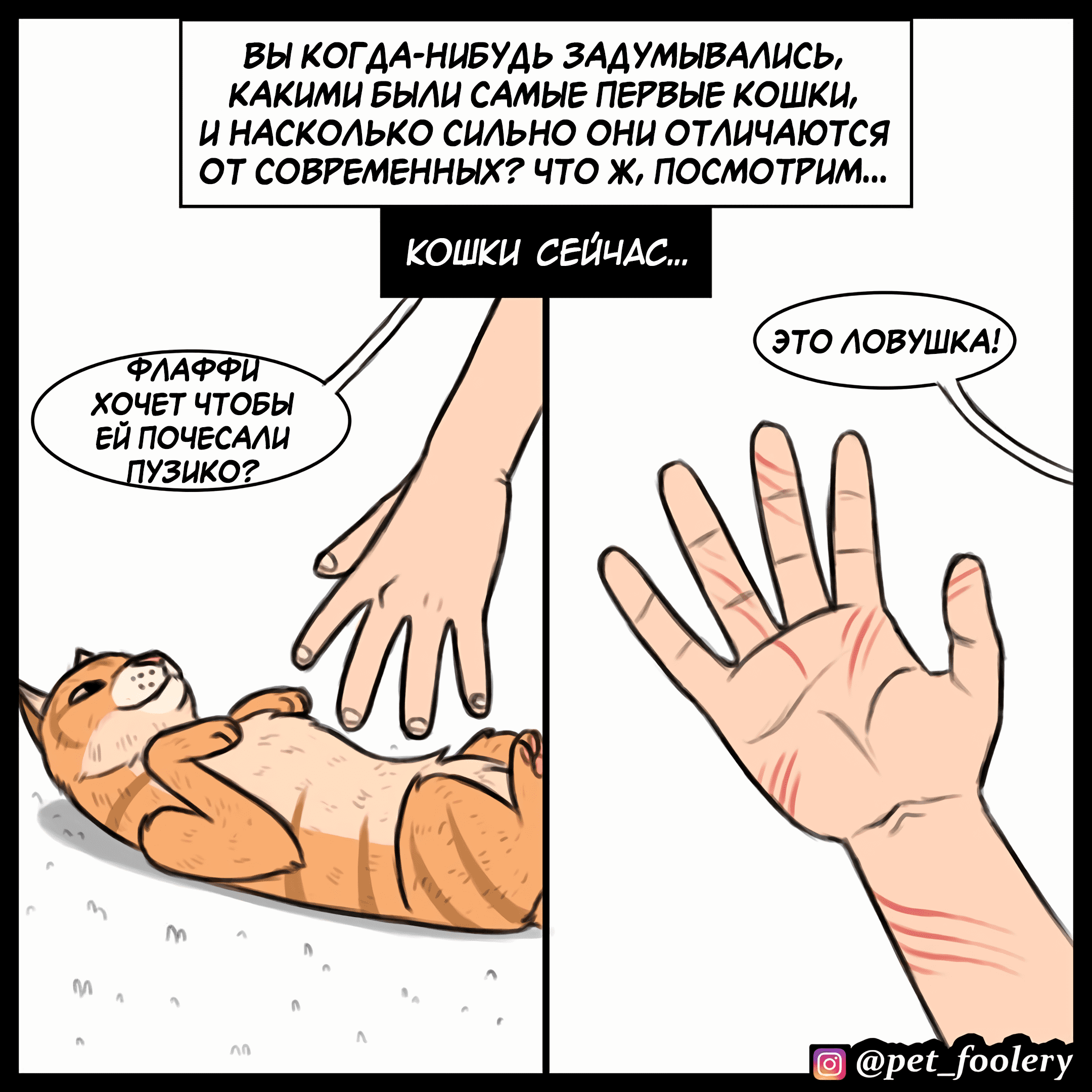 Манга Брут и Пикси - Глава 91.5 Страница 1