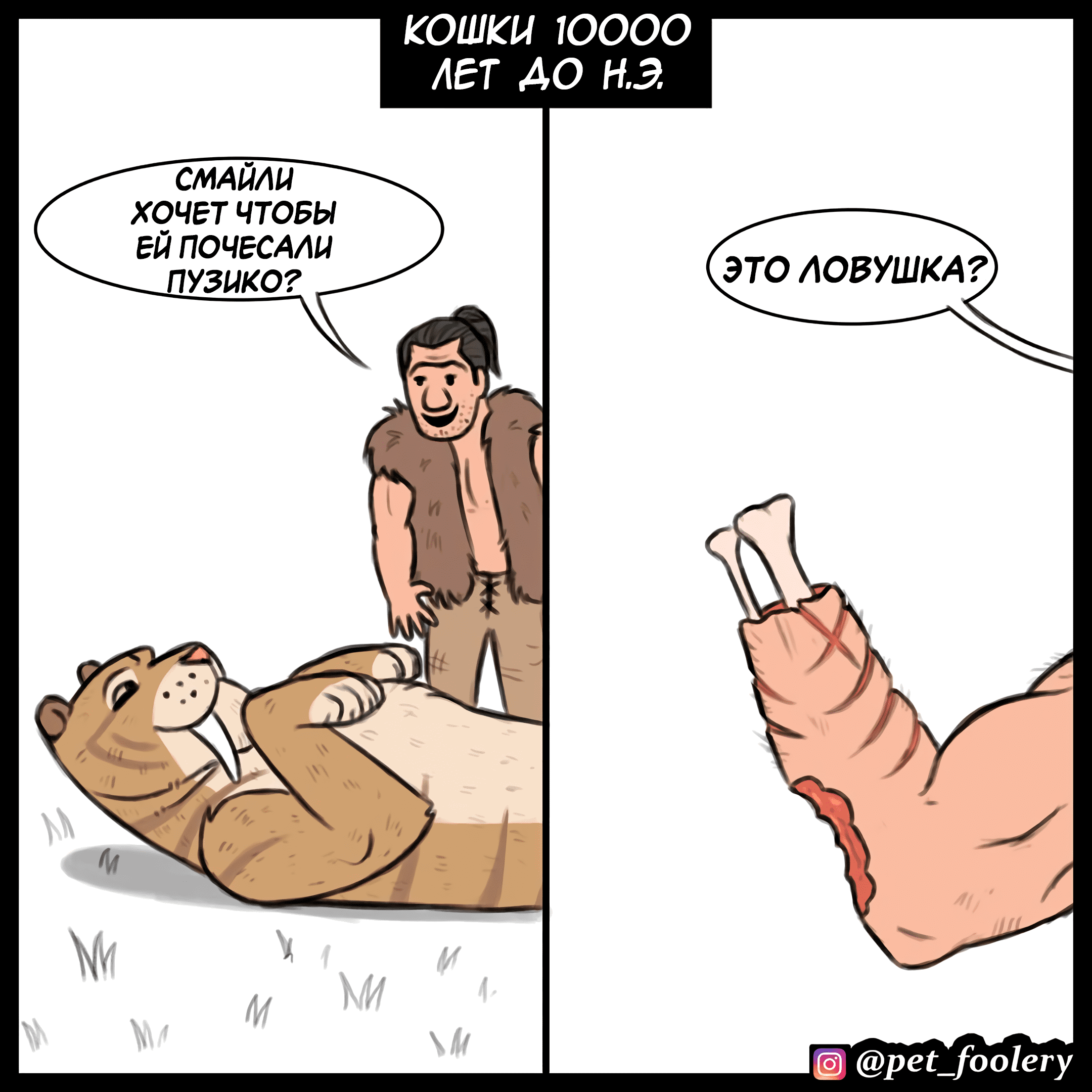 Манга Брут и Пикси - Глава 91.5 Страница 2