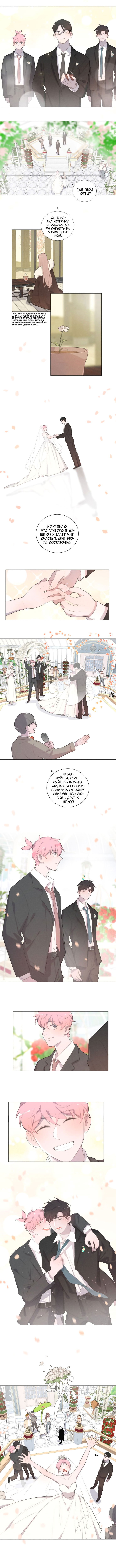 Манга Кошачий мир - Глава 73 Страница 5