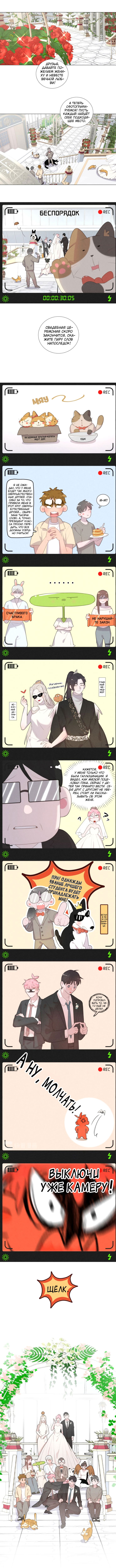 Манга Кошачий мир - Глава 73 Страница 6