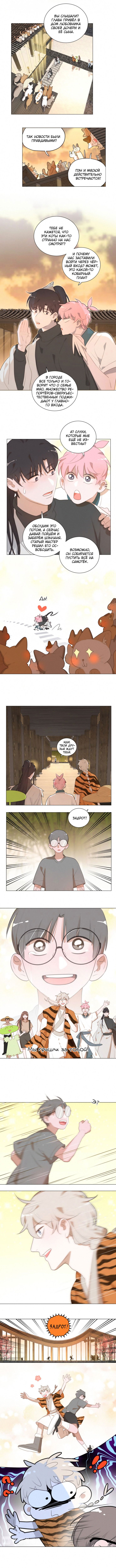 Манга Кошачий мир - Глава 71 Страница 3