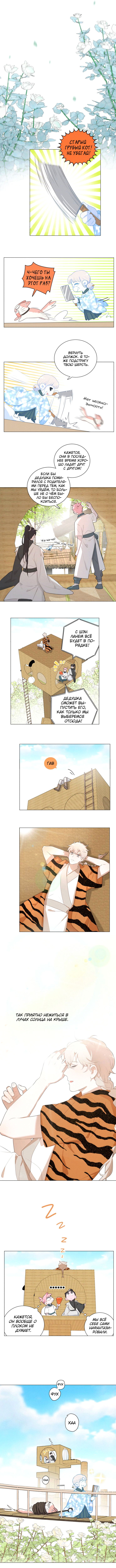 Манга Кошачий мир - Глава 67 Страница 3