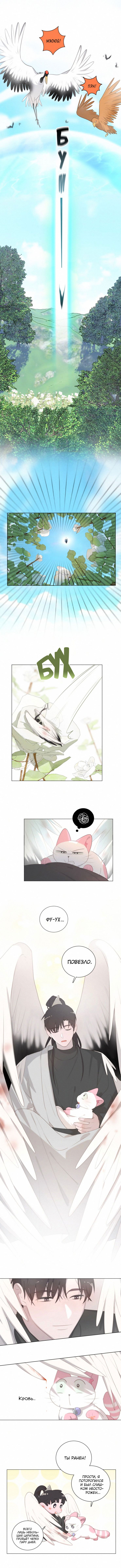 Манга Кошачий мир - Глава 59 Страница 3